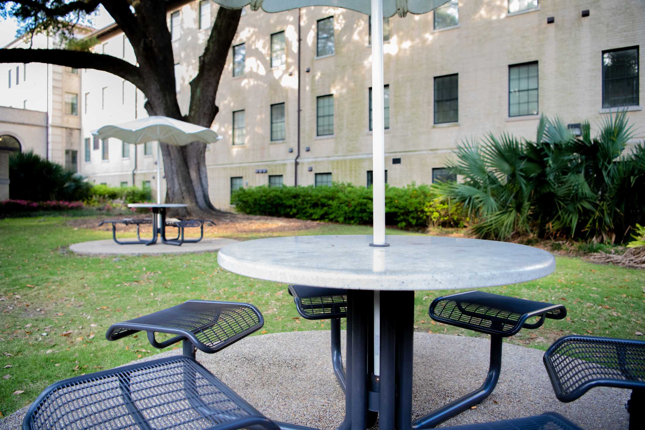 PHOTOS: Everybody studies in the library, be unique