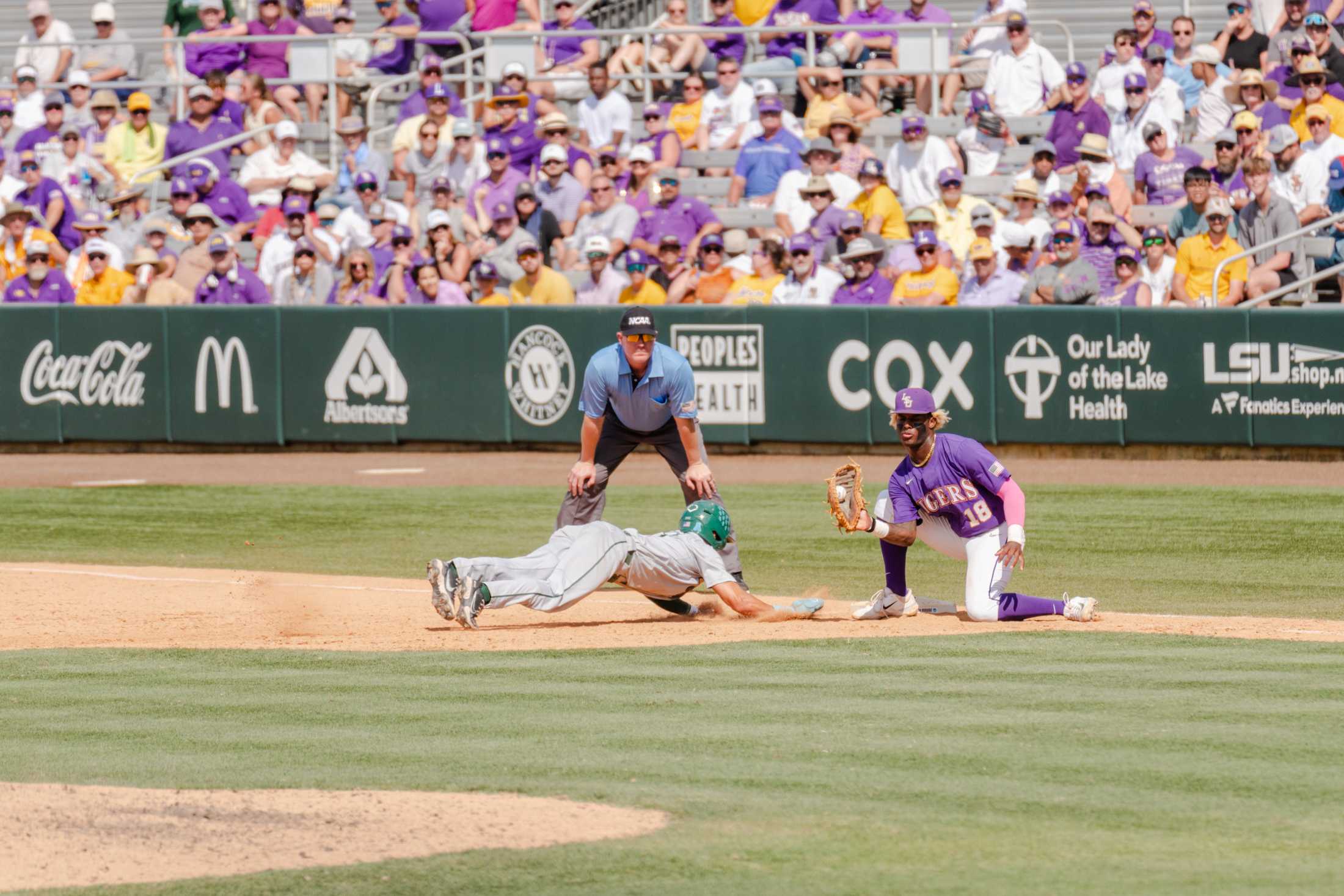 PHOTOS: A journey through LSU baseball's championship season