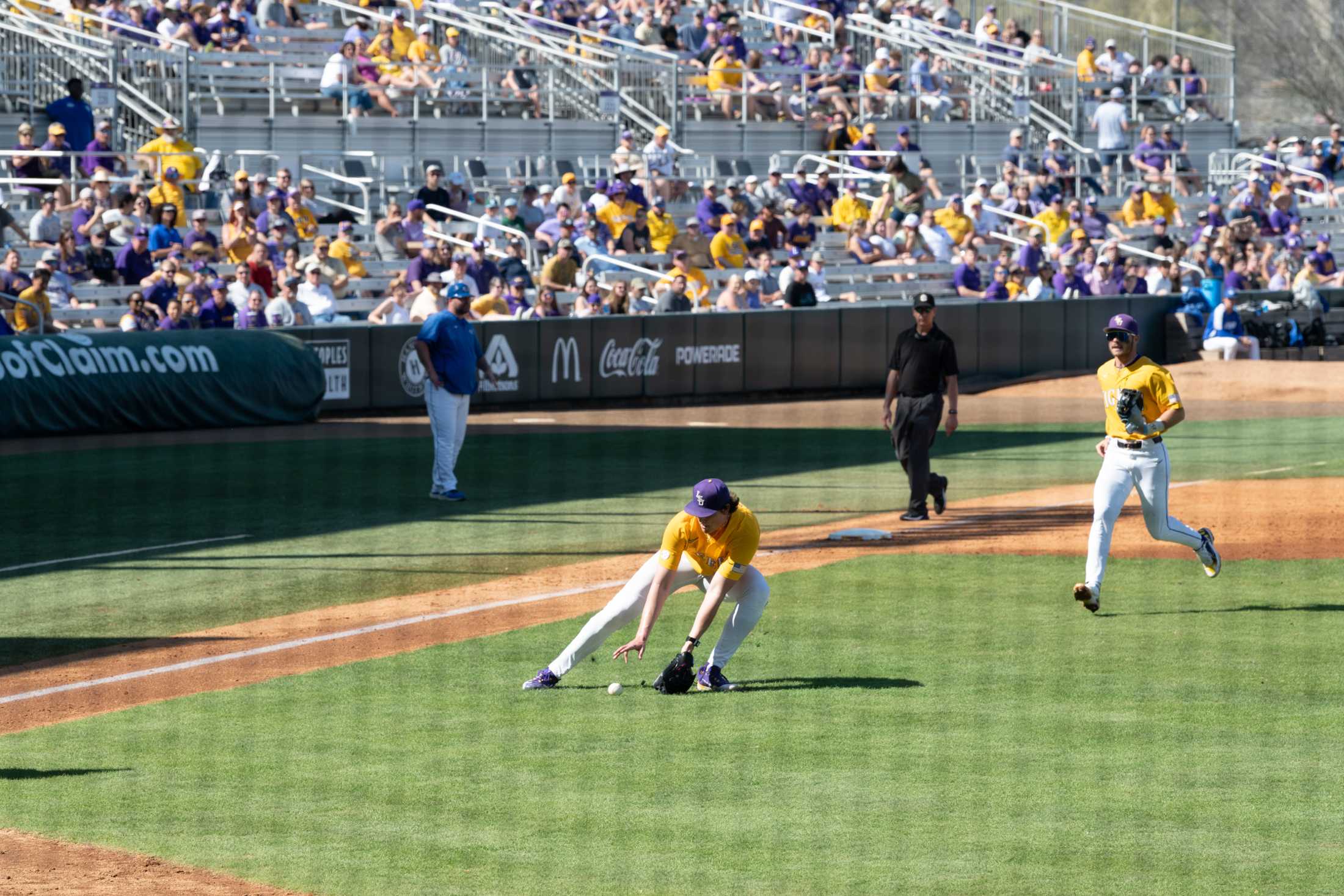 PHOTOS: A journey through LSU baseball's championship season