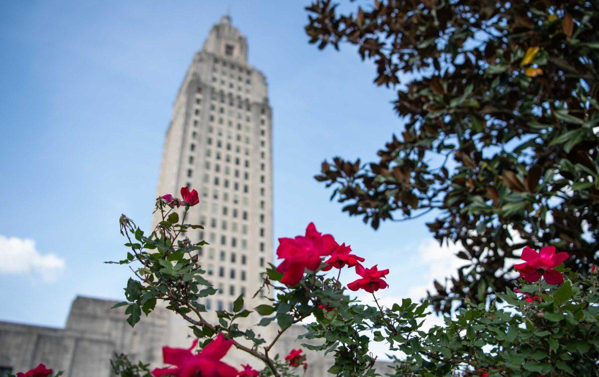 Roses flourish in front of the capitol building on Wednesday, March 1, 2023, in Baton Rouge, La.