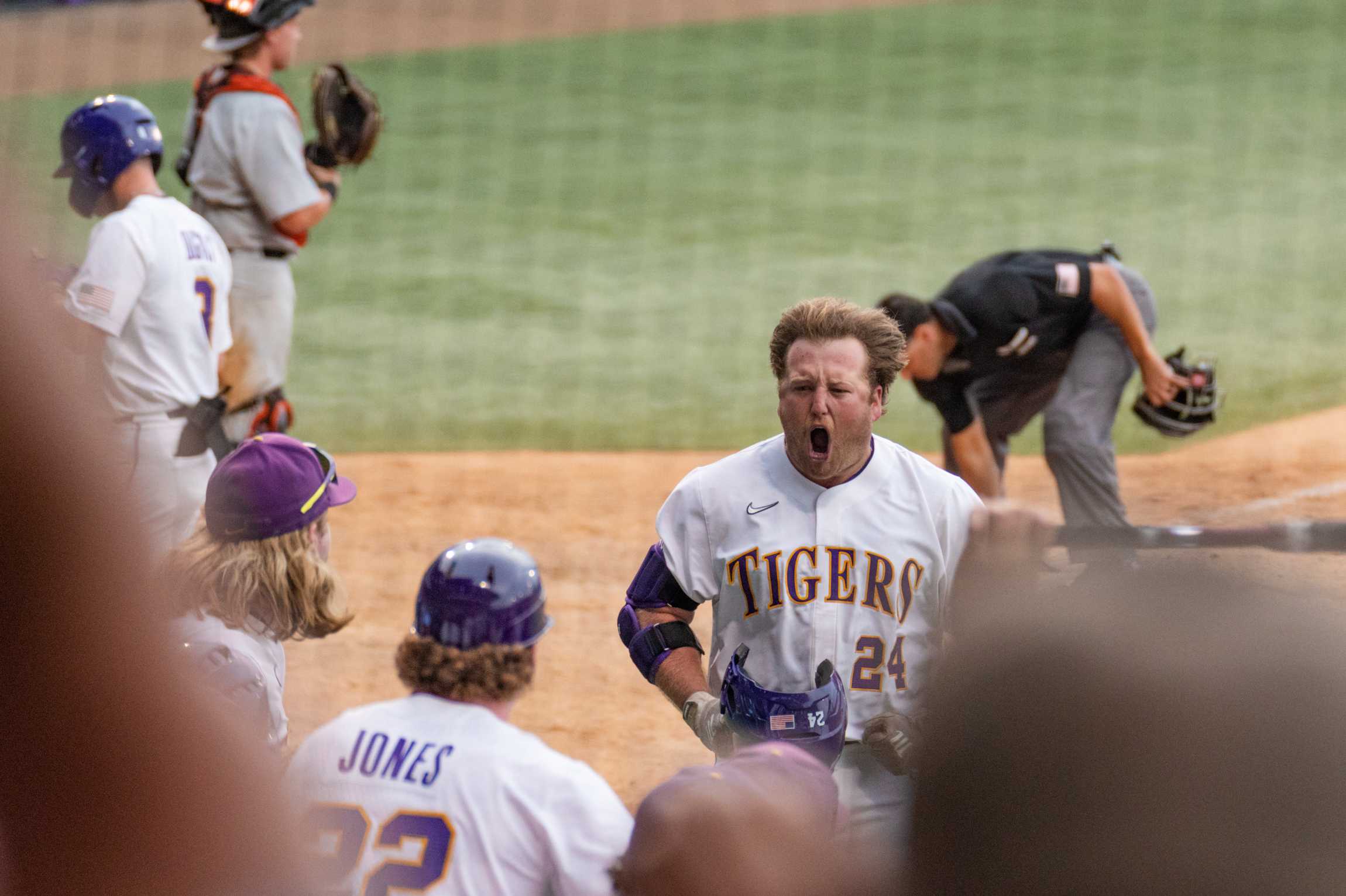 PHOTOS: A journey through LSU baseball's championship season