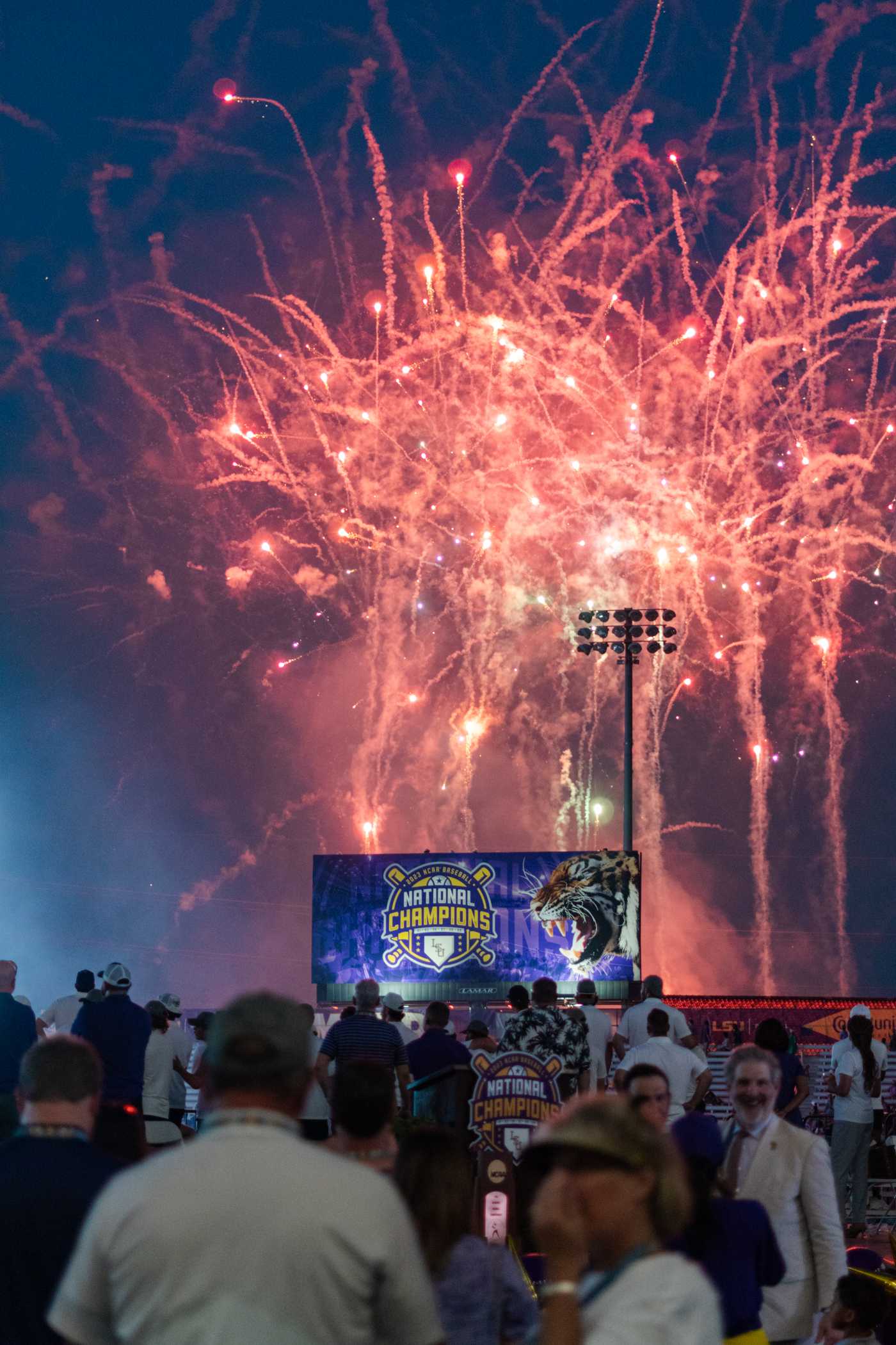 PHOTOS: LSU baseball celebrates its national championship title at Alex Box Stadium