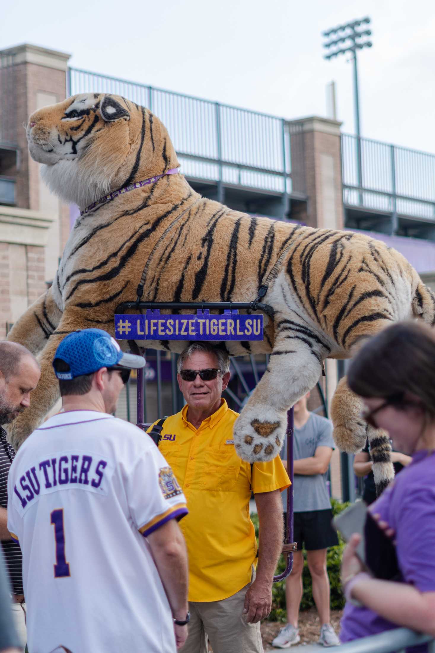 PHOTOS: LSU baseball heads to Omaha as fans cheer them on