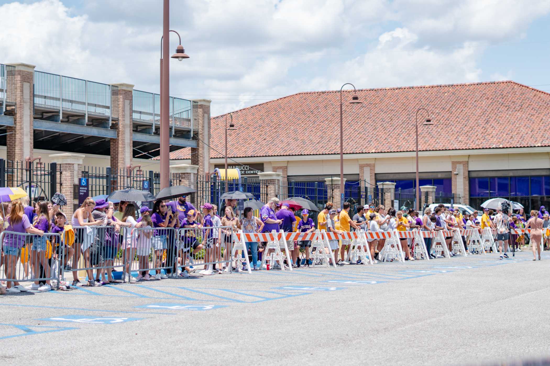 PHOTOS: Fans welcome home the championship LSU baseball team