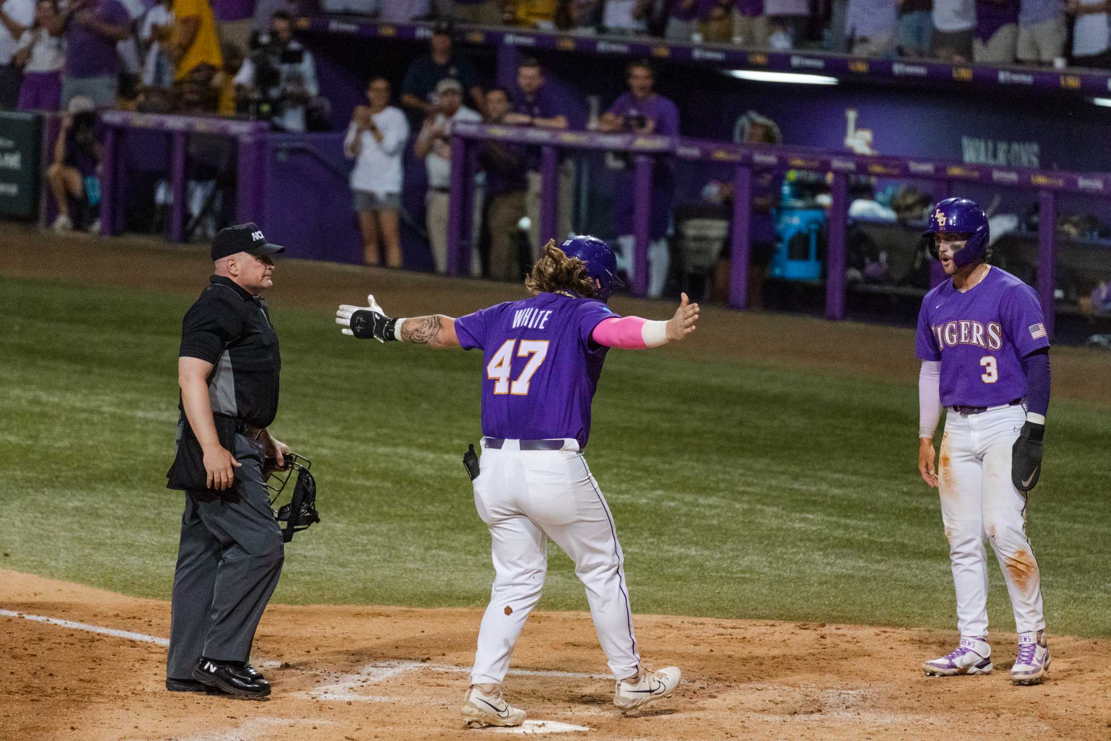 PHOTOS: A journey through LSU baseball's championship season