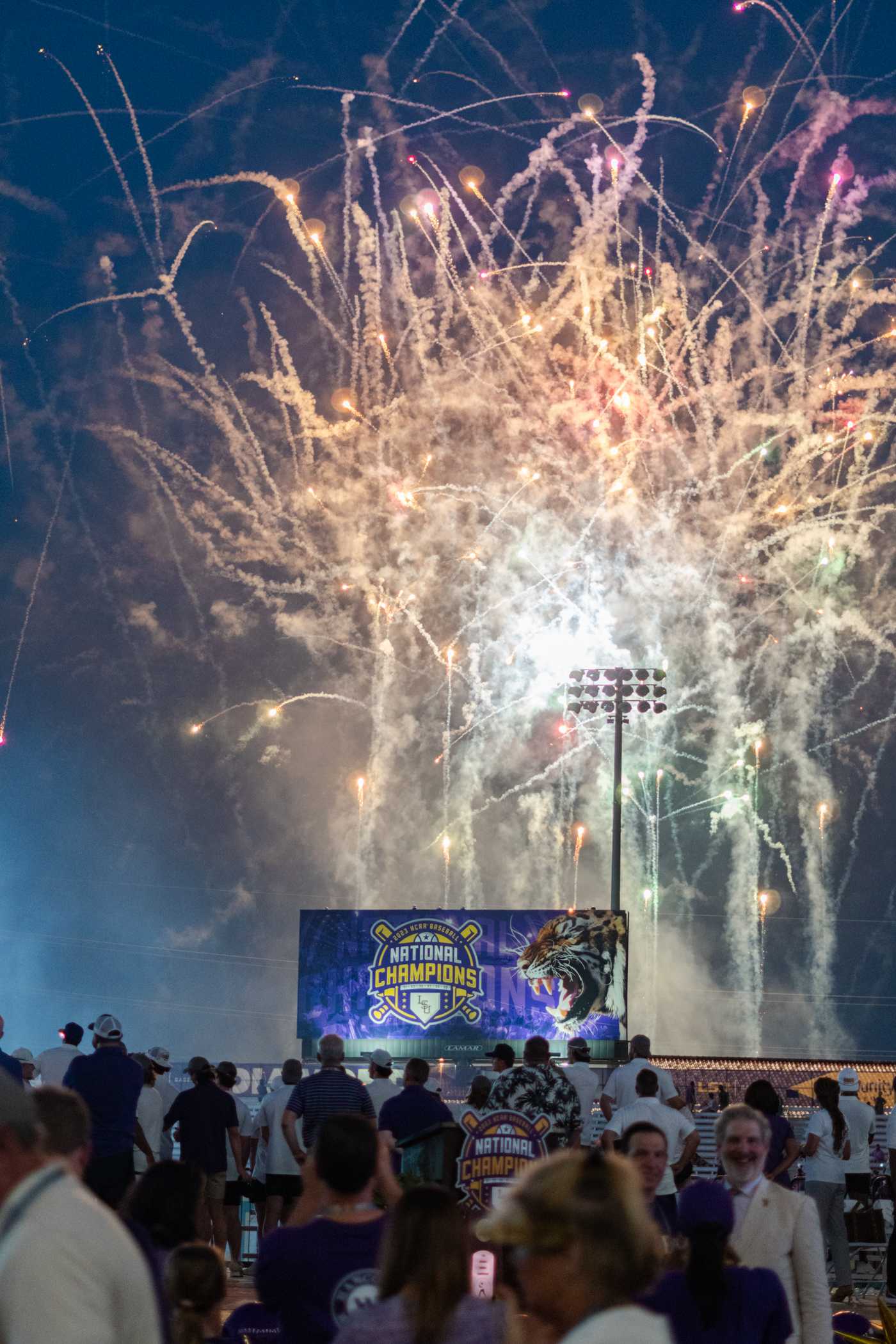 PHOTOS: LSU baseball celebrates its national championship title at Alex Box Stadium