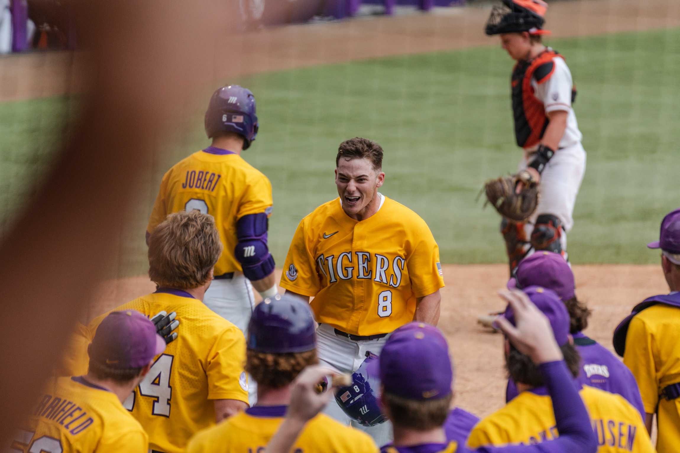 PHOTOS: A journey through LSU baseball's championship season