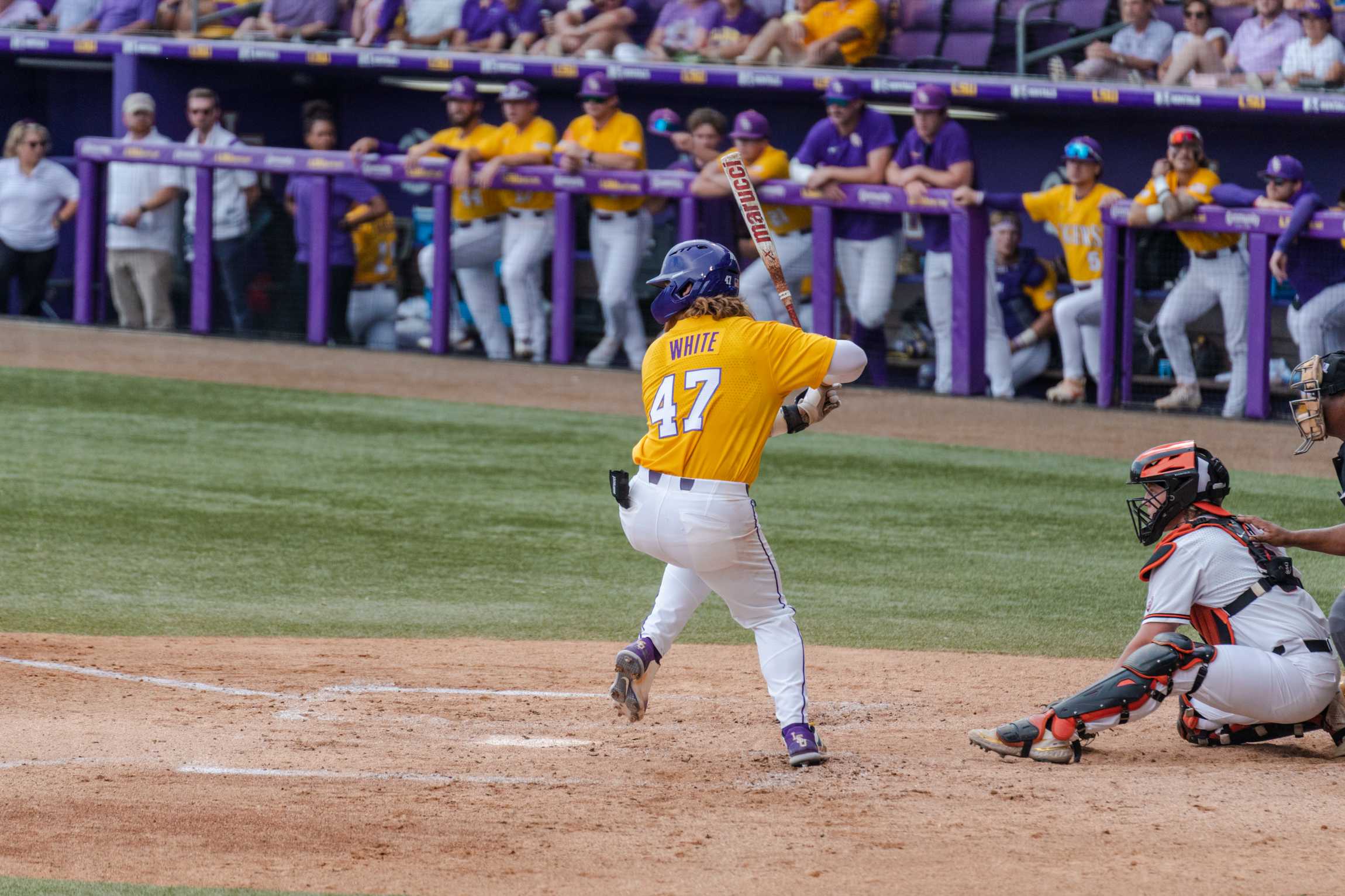 PHOTOS: LSU baseball moves on to Super Regionals after defeating Oregon State in Regional Championship