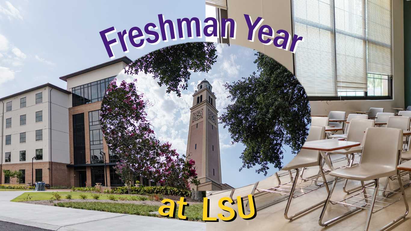 10 things incoming freshmen need to know about LSU, from Paw Points to getting a Scantron