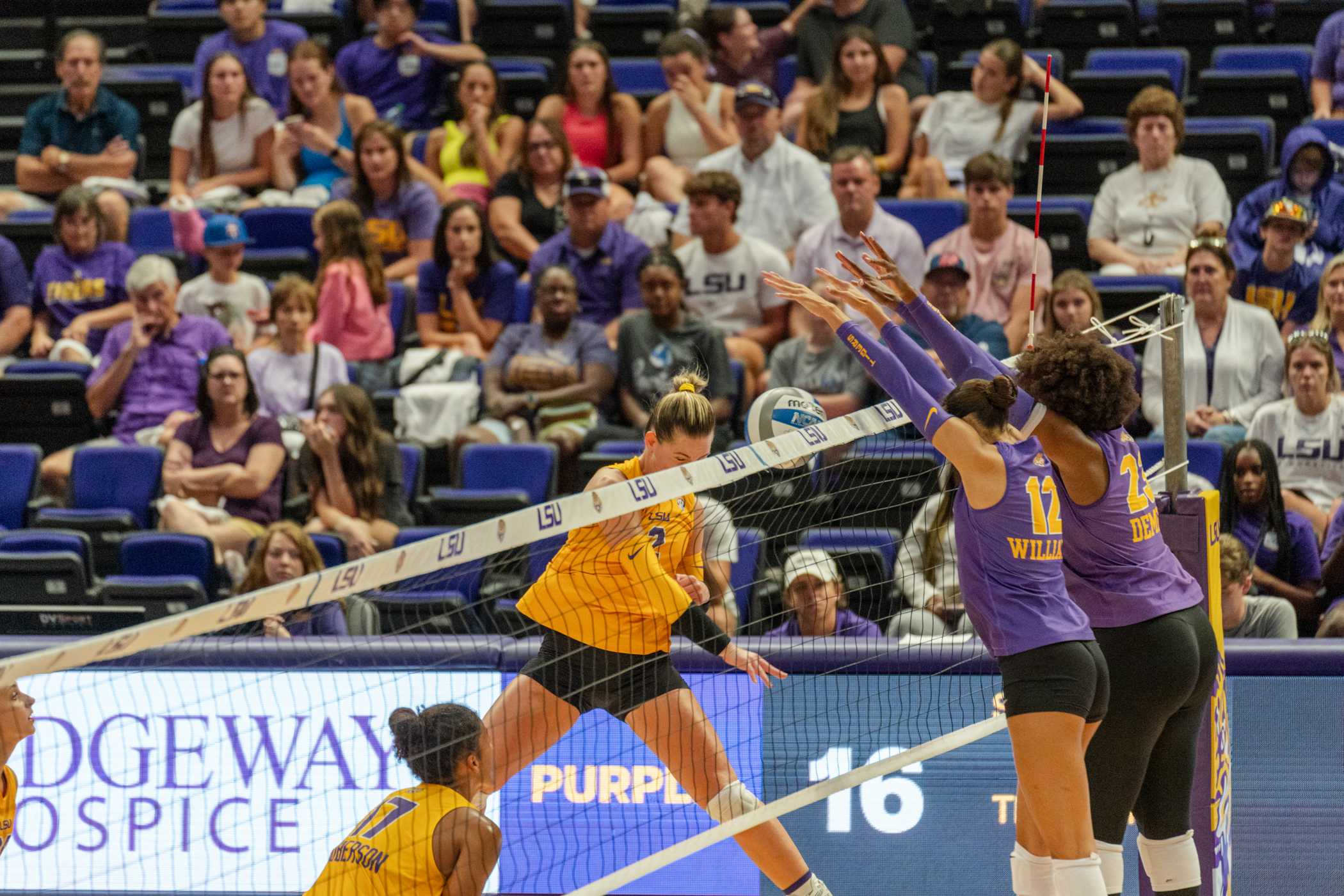 PHOTOS: LSU volleyball holds exhibition match prior to season's start