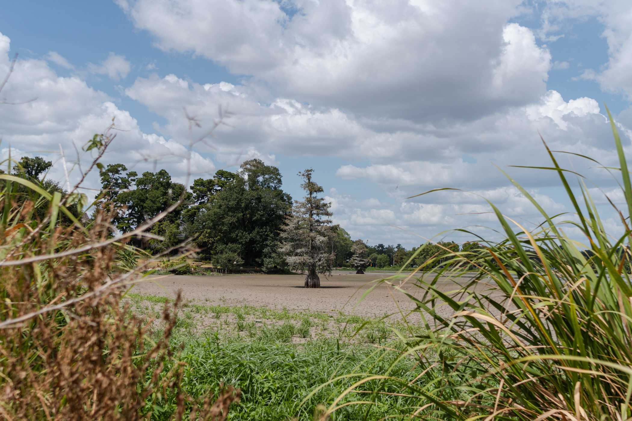 PHOTOS: LSU lakes look dry and cracked as restoration process begins