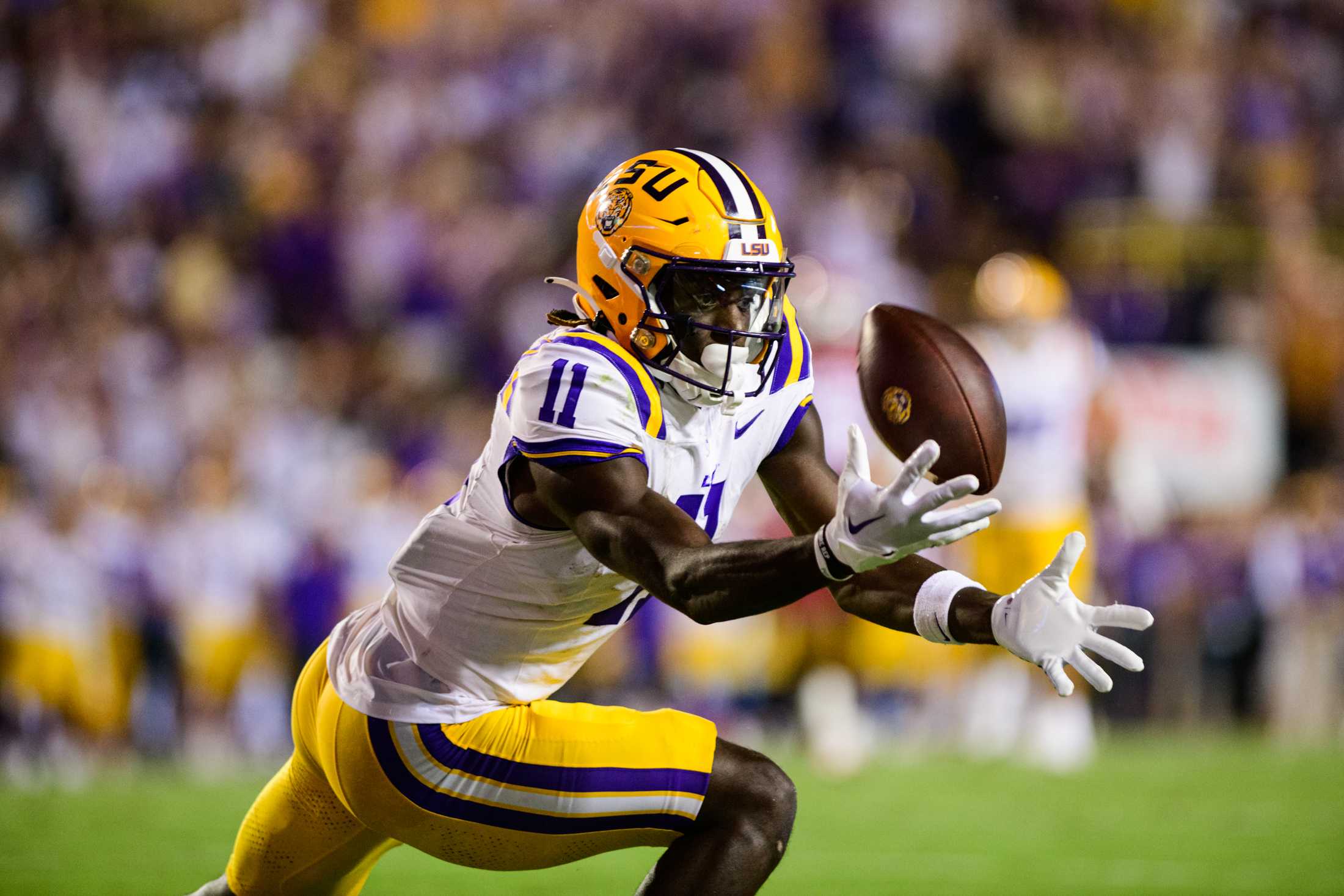 PHOTOS: LSU football defeats Arkansas 34-31