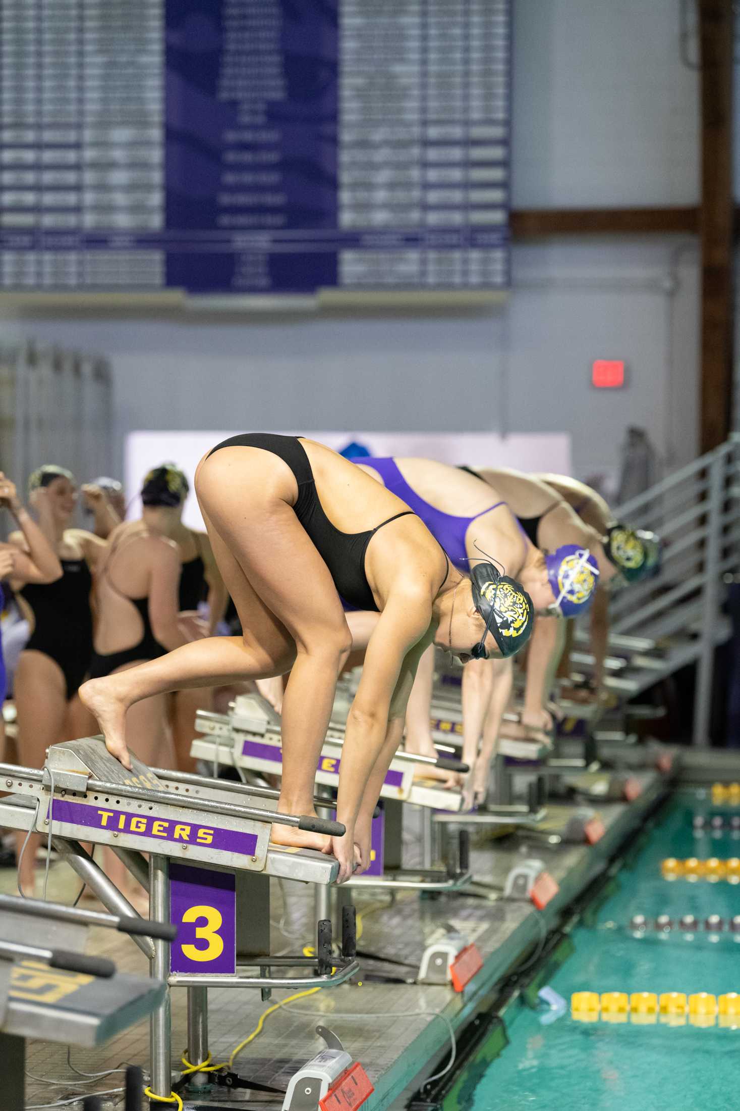 PHOTOS: LSU swim holds intrasquad meet