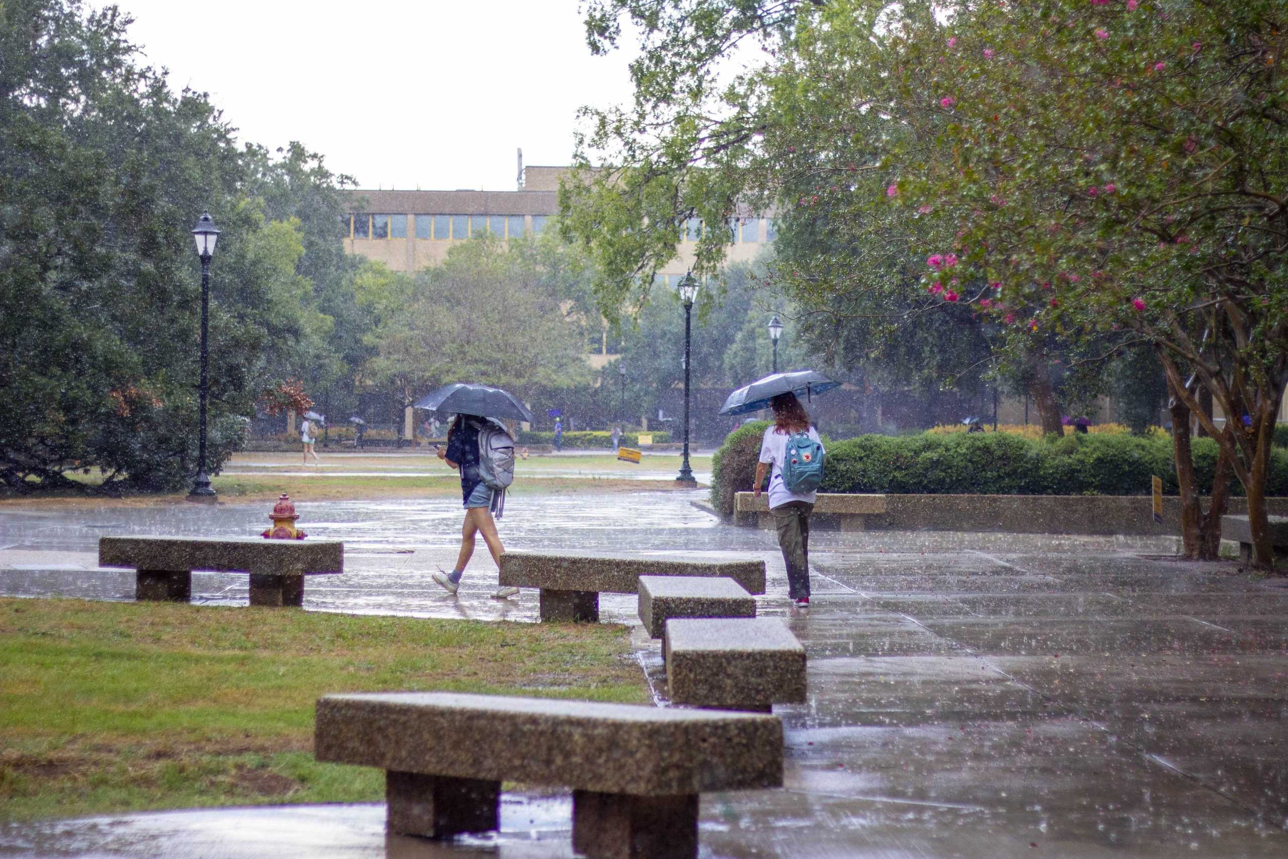 PHOTOS: A soaked day in Tiger territory