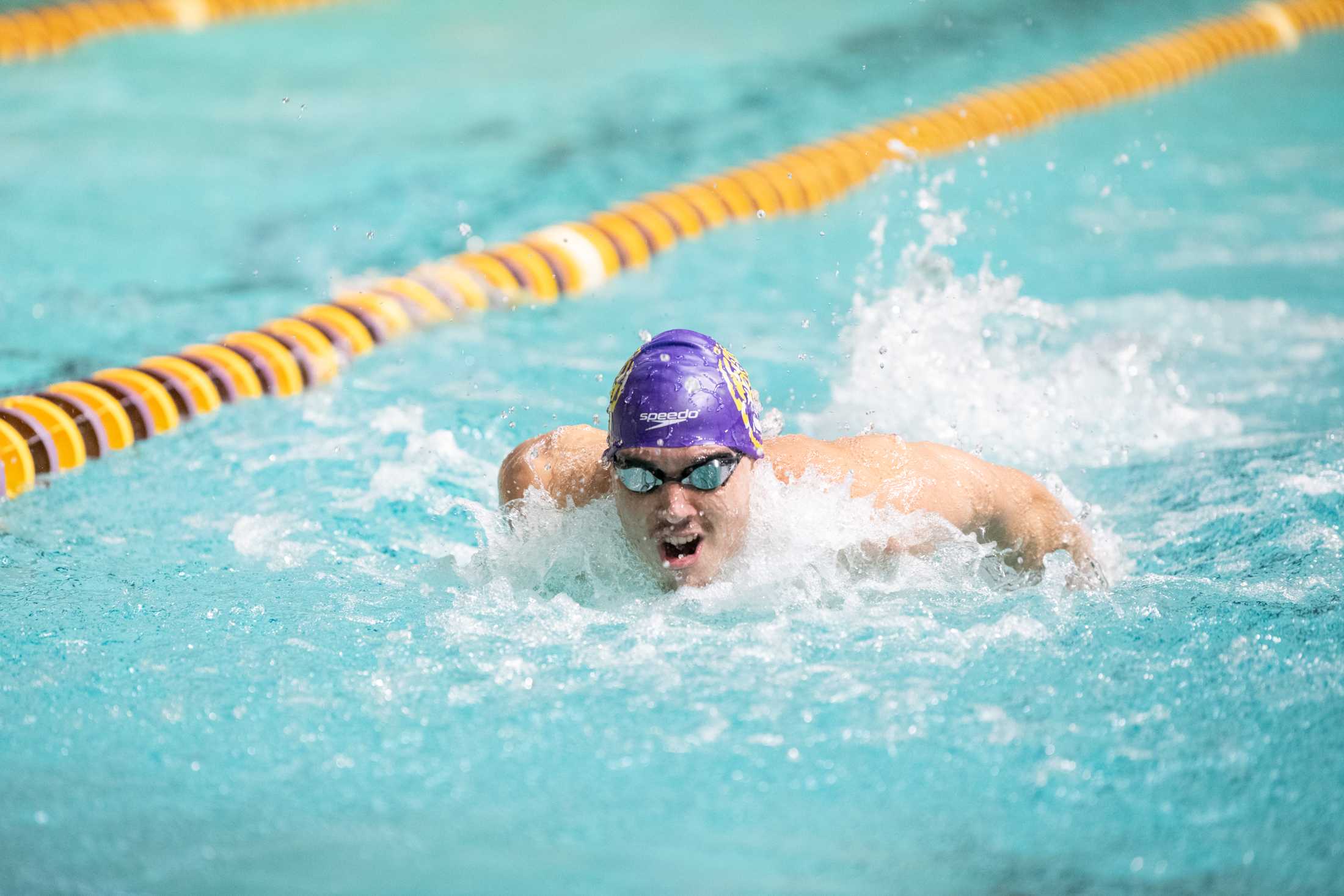 PHOTOS: LSU swim holds intrasquad meet