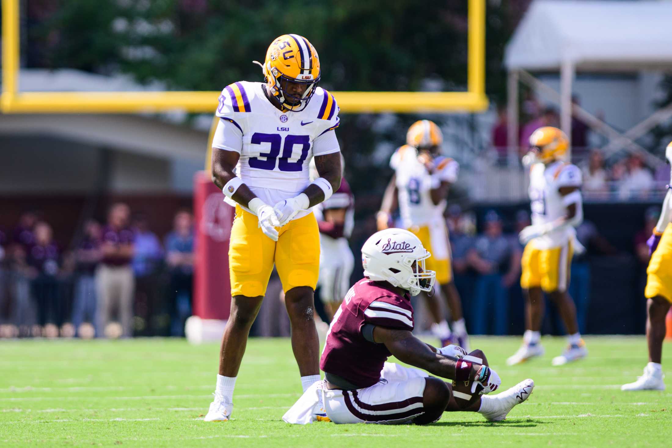 PHOTOS: LSU football defeats Mississippi State 41-14