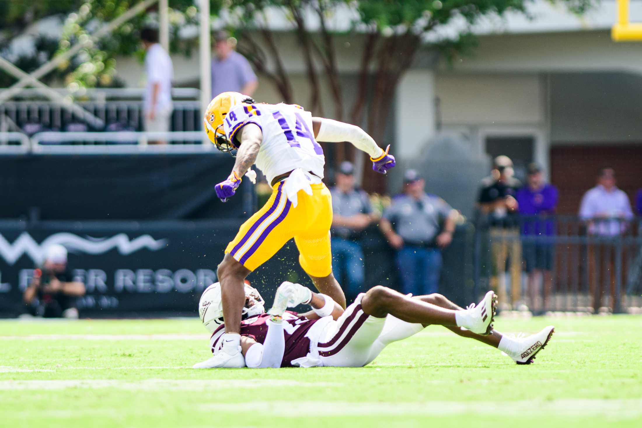 PHOTOS: LSU football defeats Mississippi State 41-14