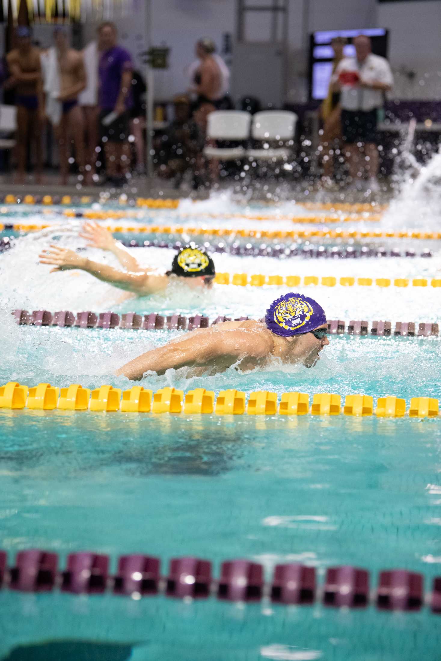 PHOTOS: LSU swim holds intrasquad meet