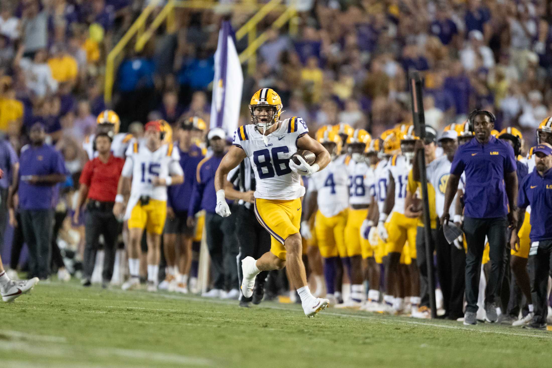 PHOTOS: LSU football defeats Arkansas 34-31