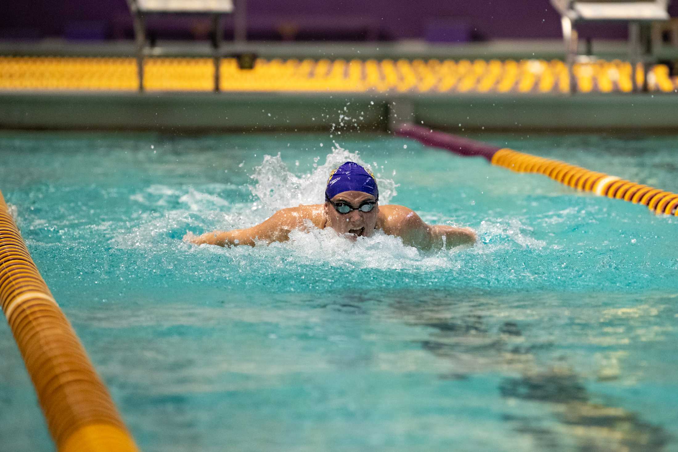 PHOTOS: LSU swim holds intrasquad meet