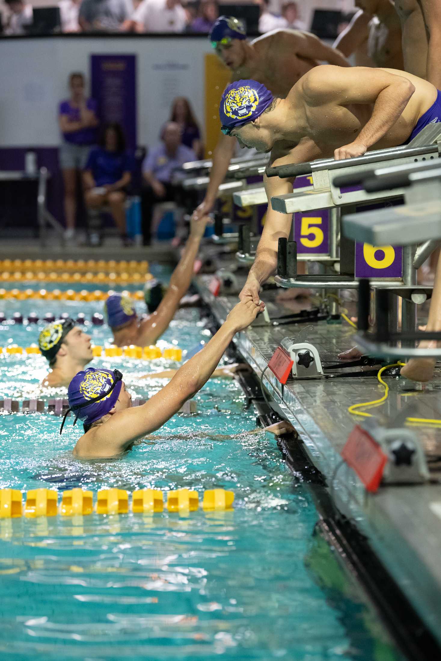 PHOTOS: LSU swim holds intrasquad meet