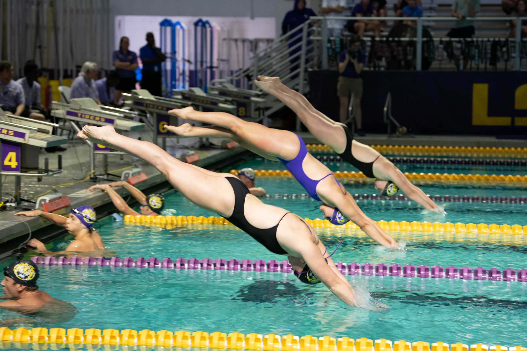 PHOTOS: LSU swim holds intrasquad meet