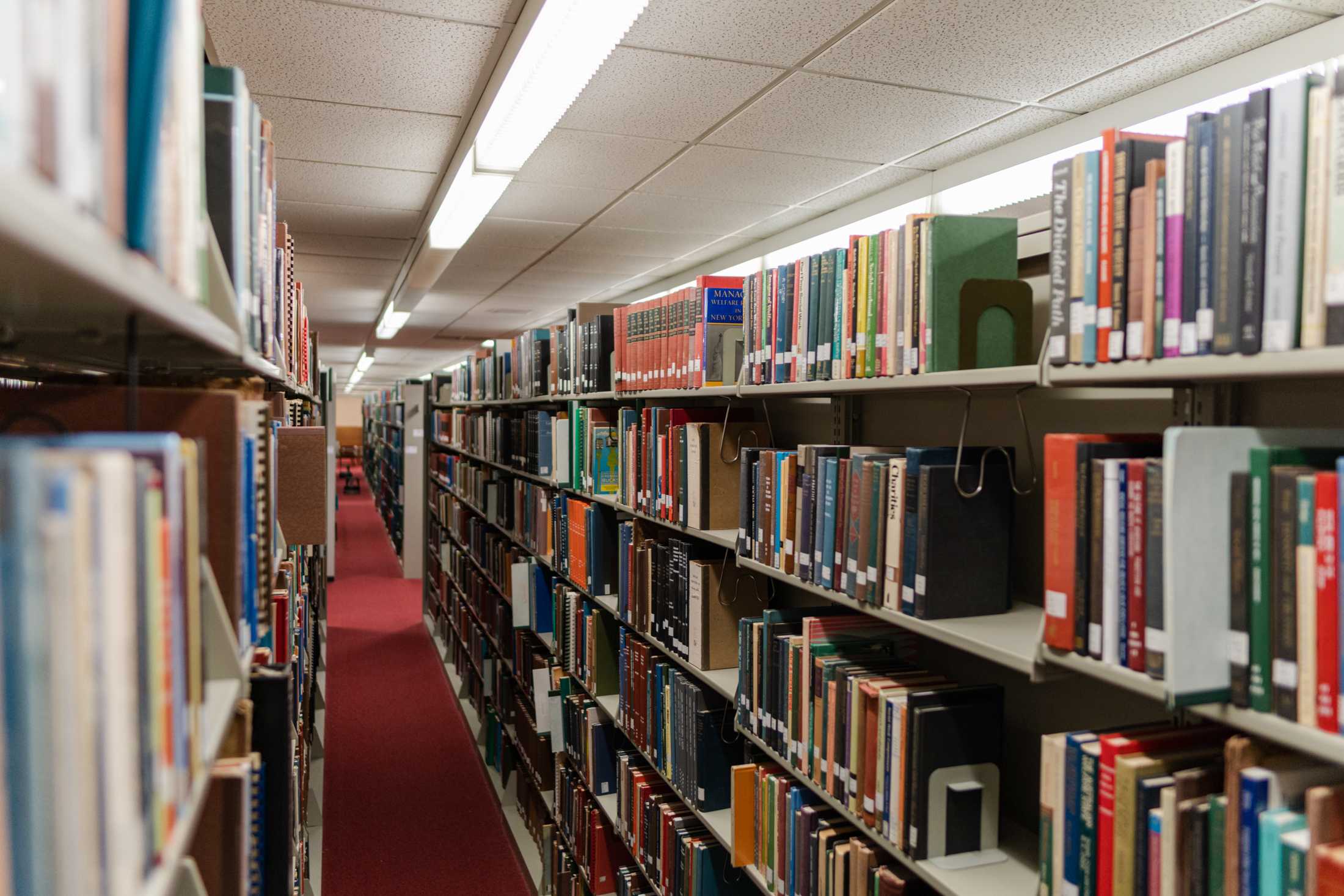 PHOTOS: The LSU Library is more than its leaks and disrepair