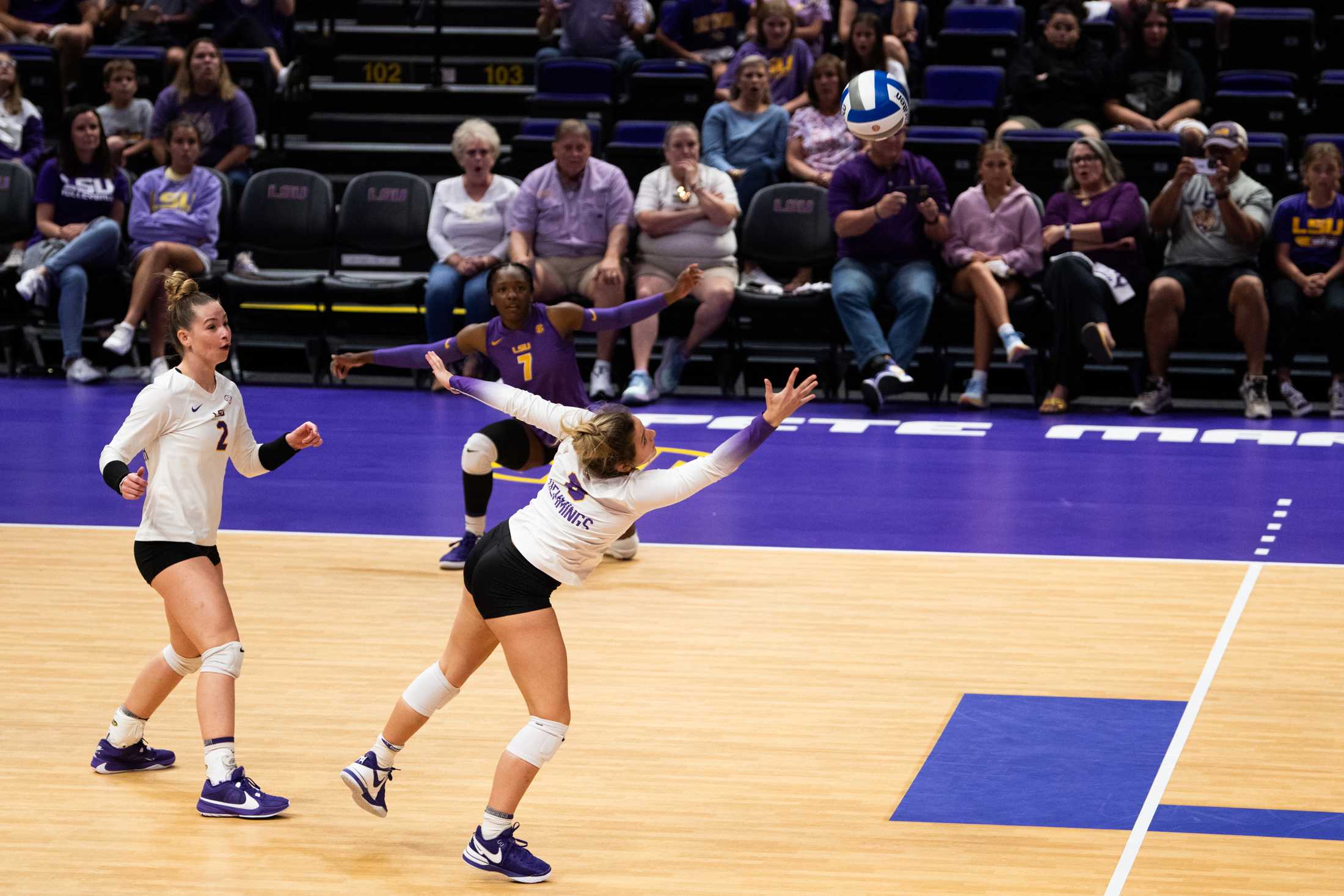 Week 5 of SEC Volleyball: The must-knows, what-nows and should-sees