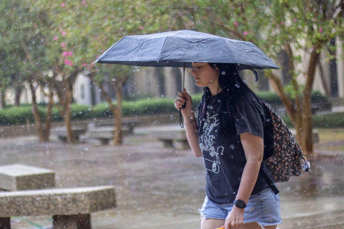 A student watches her step in the rain Tuesday, Sept. 26, 2023, in the LSU Quad in Baton Rouge, La.