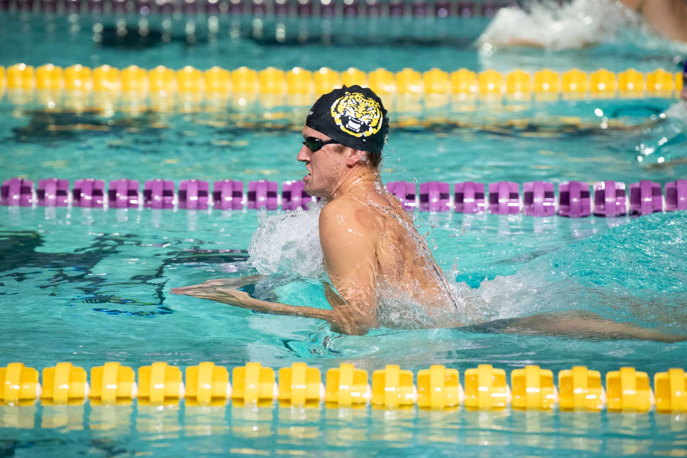 PHOTOS: LSU swim holds intrasquad meet