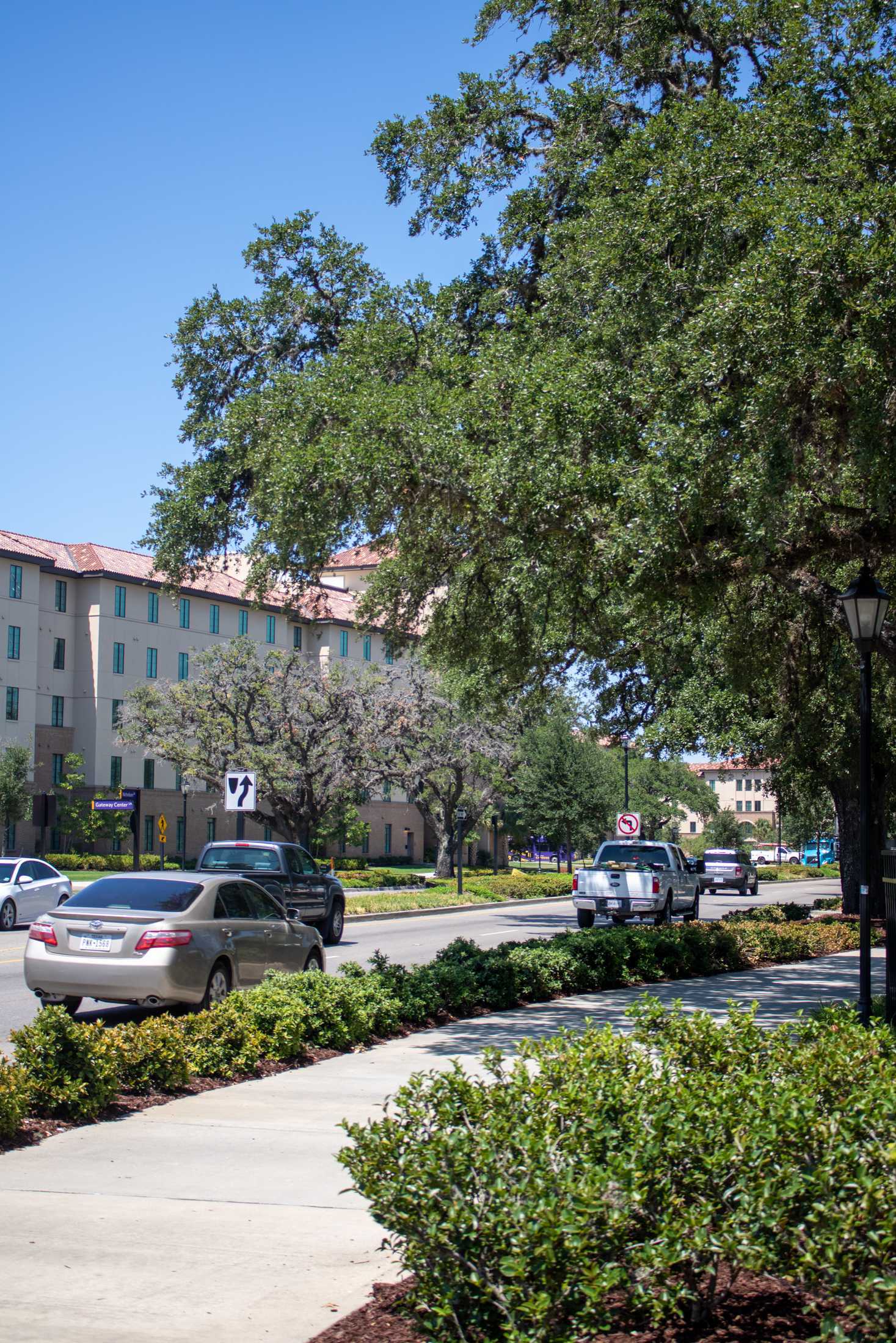 PHOTOS: The various ways LSU students travel to and around campus