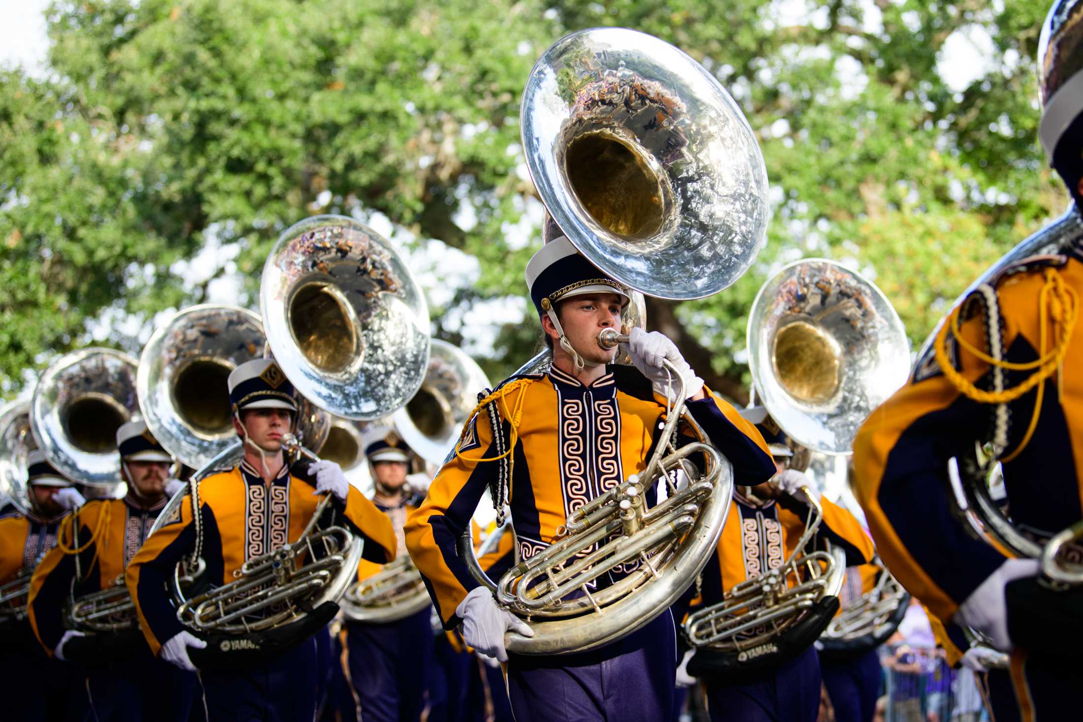 PHOTOS: LSU football shuts out Army 62-0