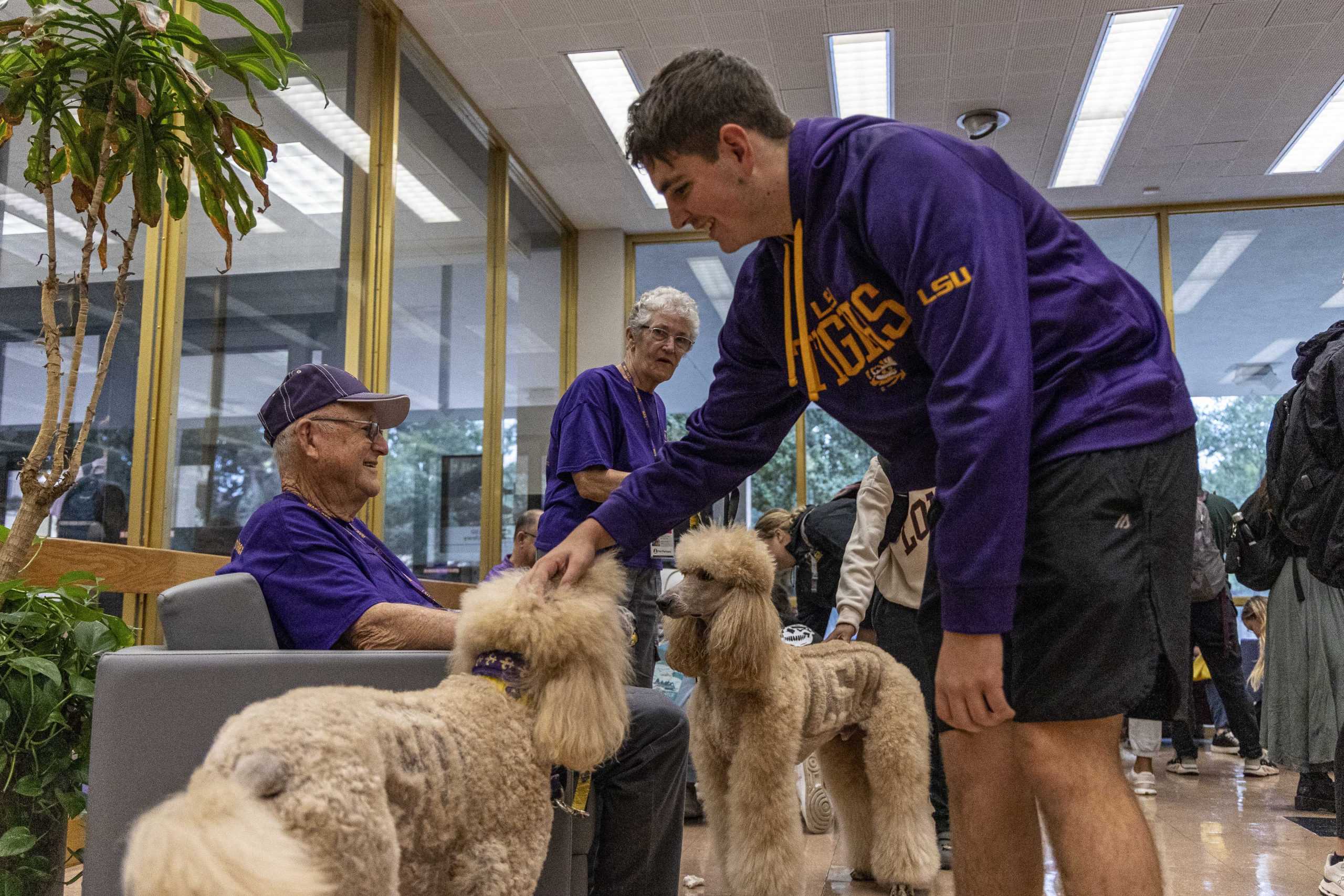 LSU students relieve midterm stress with dog therapy