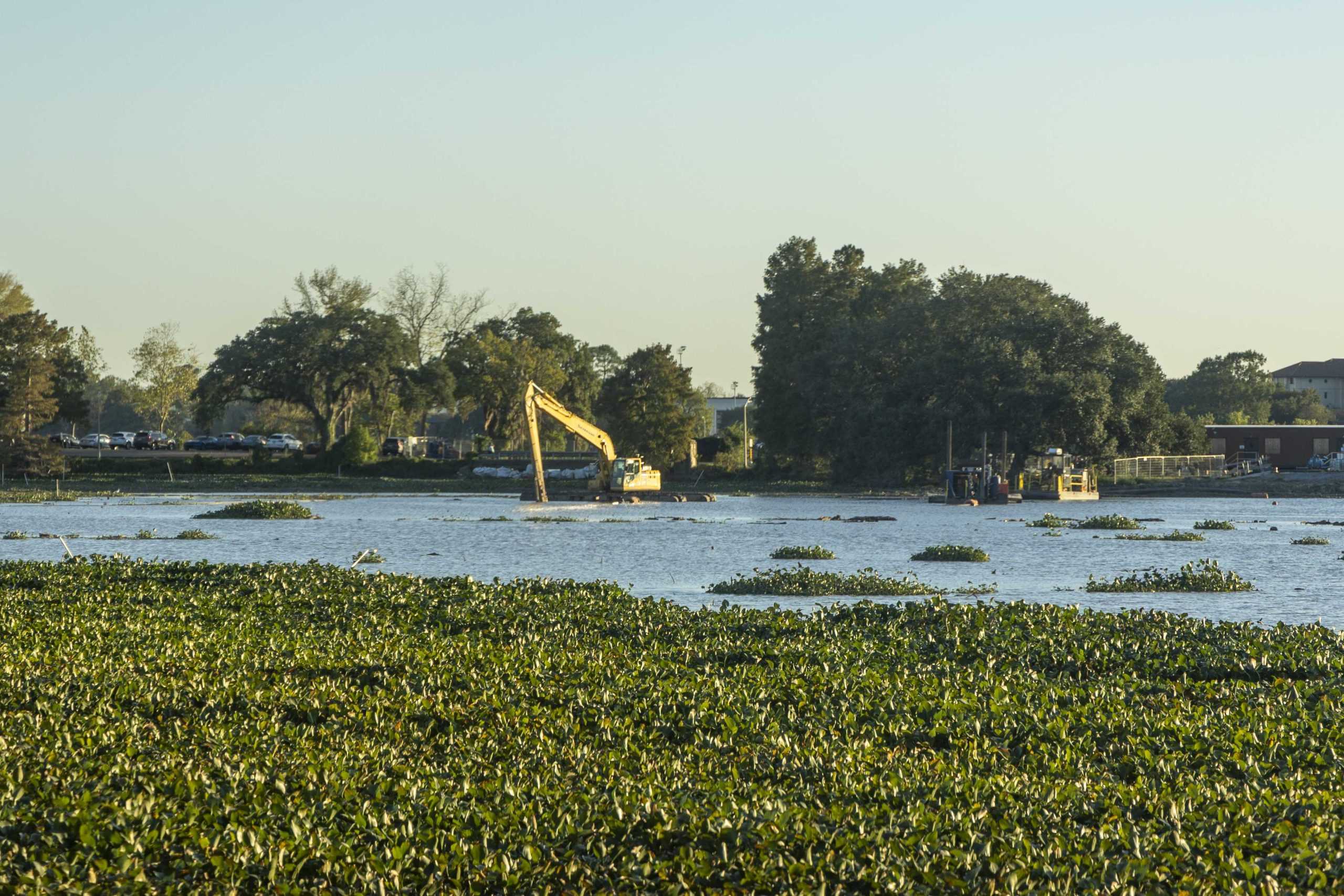 What's going on at the University Lakes? Project lead and LSU professor explain the situation