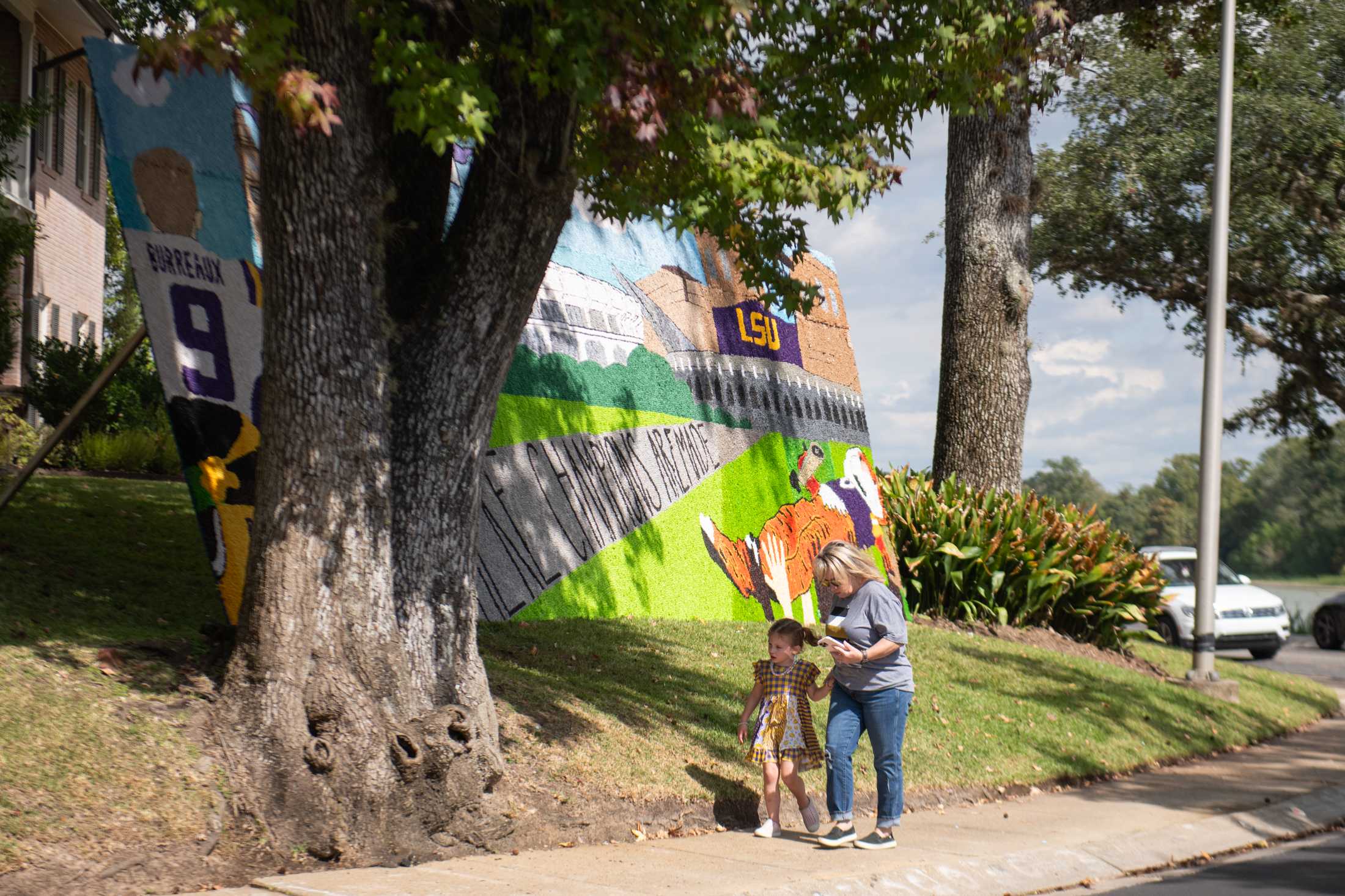 PHOTOS: LSU's Homecoming Week 2023 pomping boards and posters