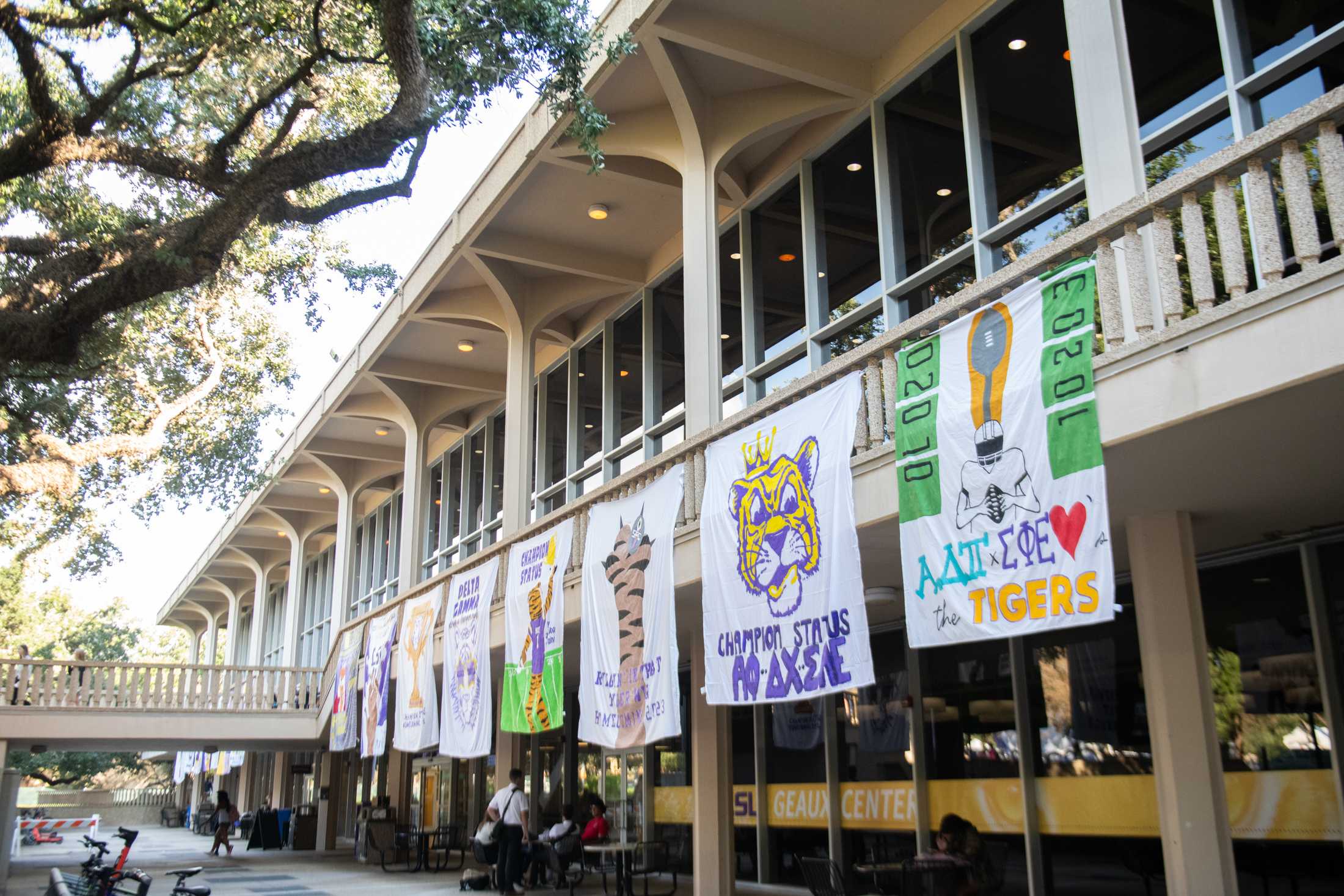 PHOTOS: LSU's Homecoming Week 2023 pomping boards and posters