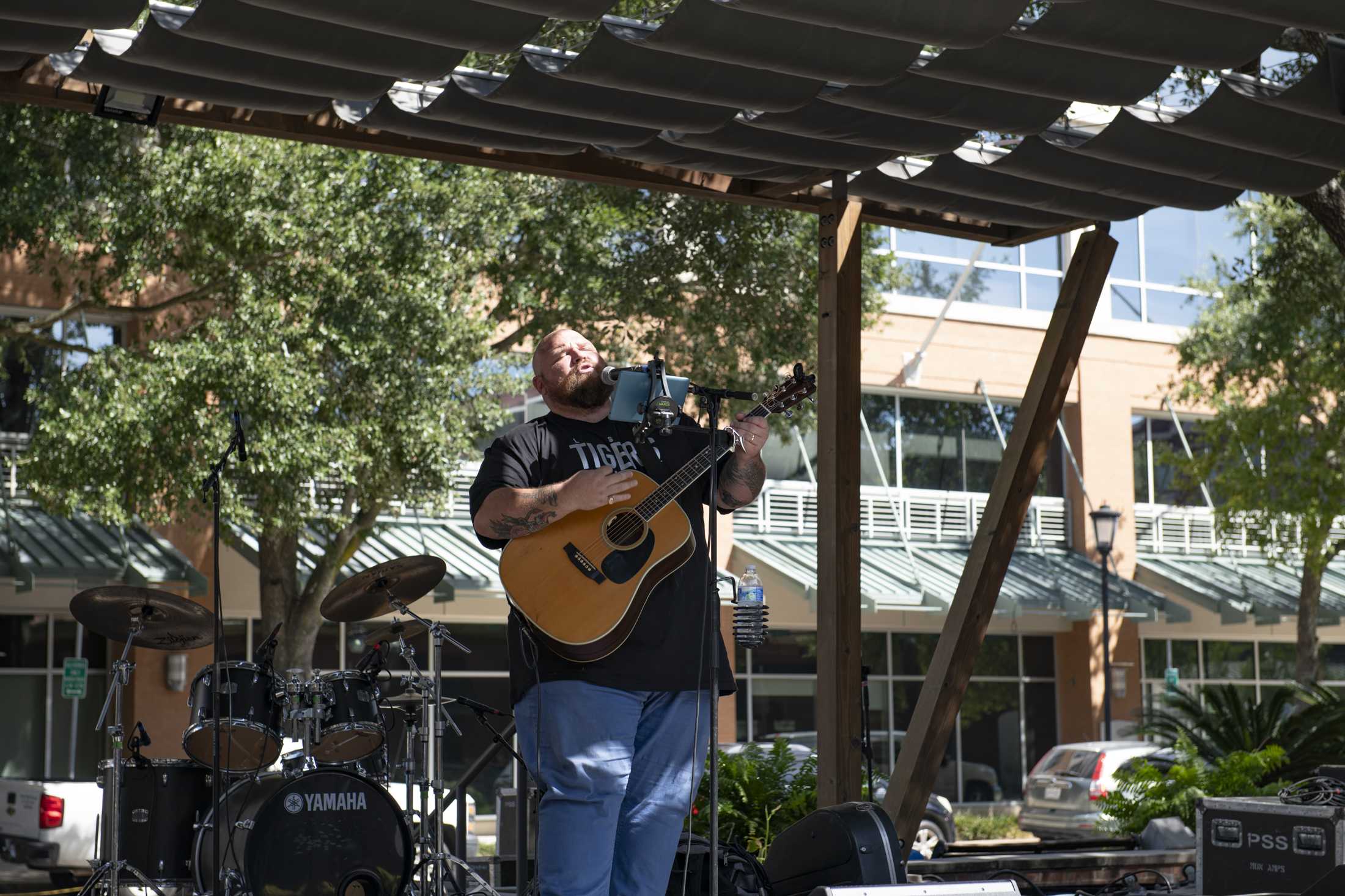 PHOTOS: Perkins Rowe Arts Fest