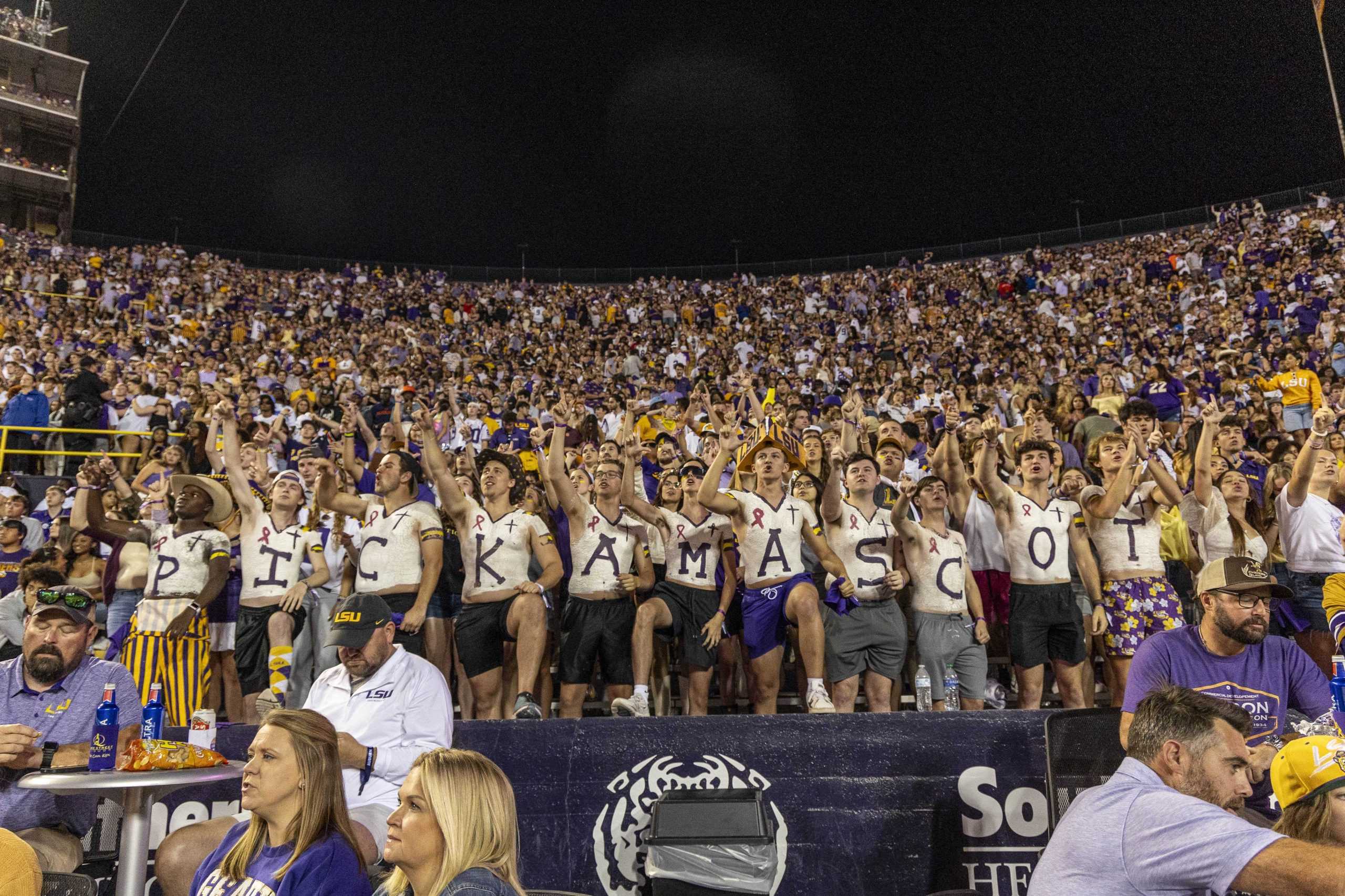 PHOTOS: LSU football defeats Auburn 48-18 in Tiger Stadium