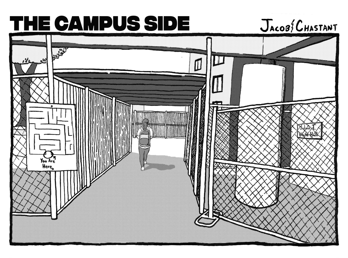 The Campus Side Cartoon