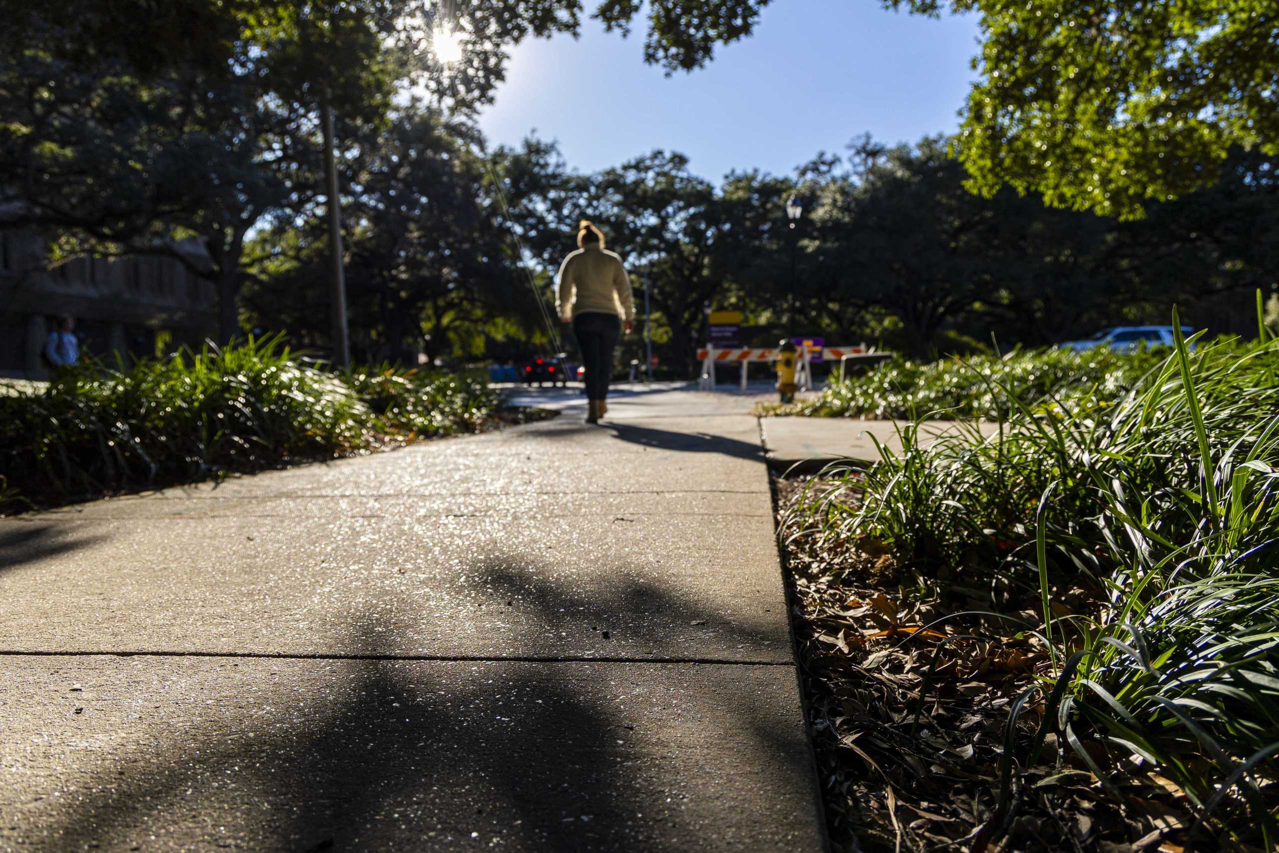 PHOTOS: A shady feeling: The artistry of shadows