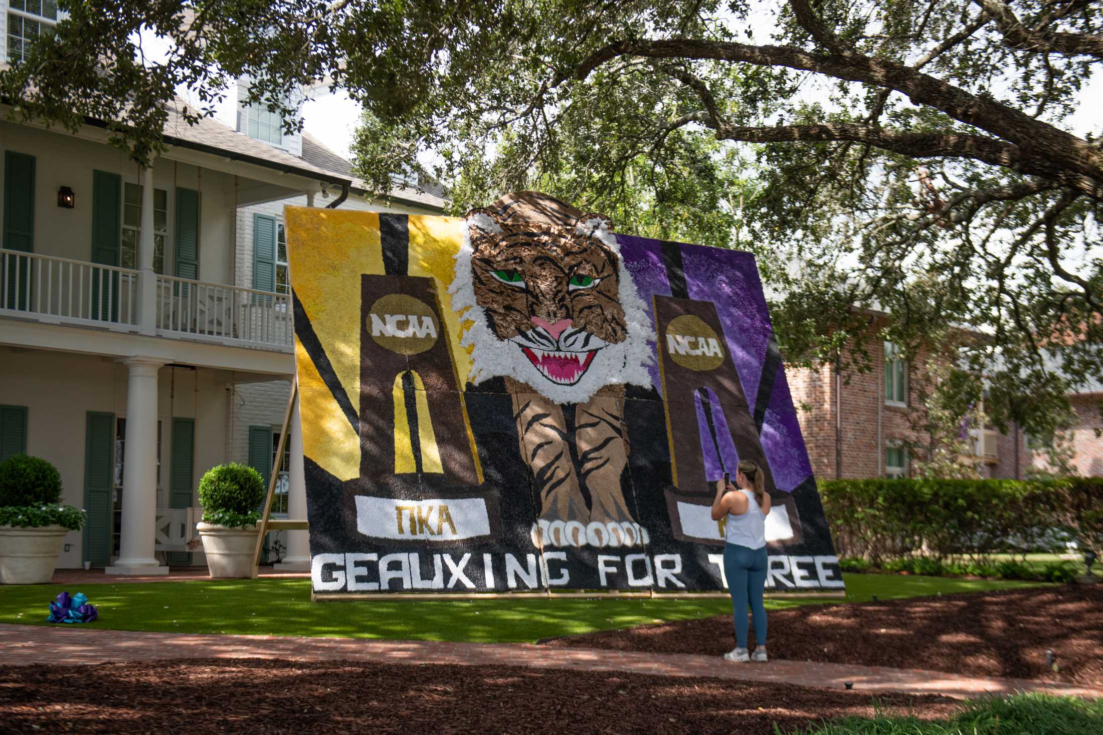 PHOTOS: LSU's Homecoming Week 2023 pomping boards and posters