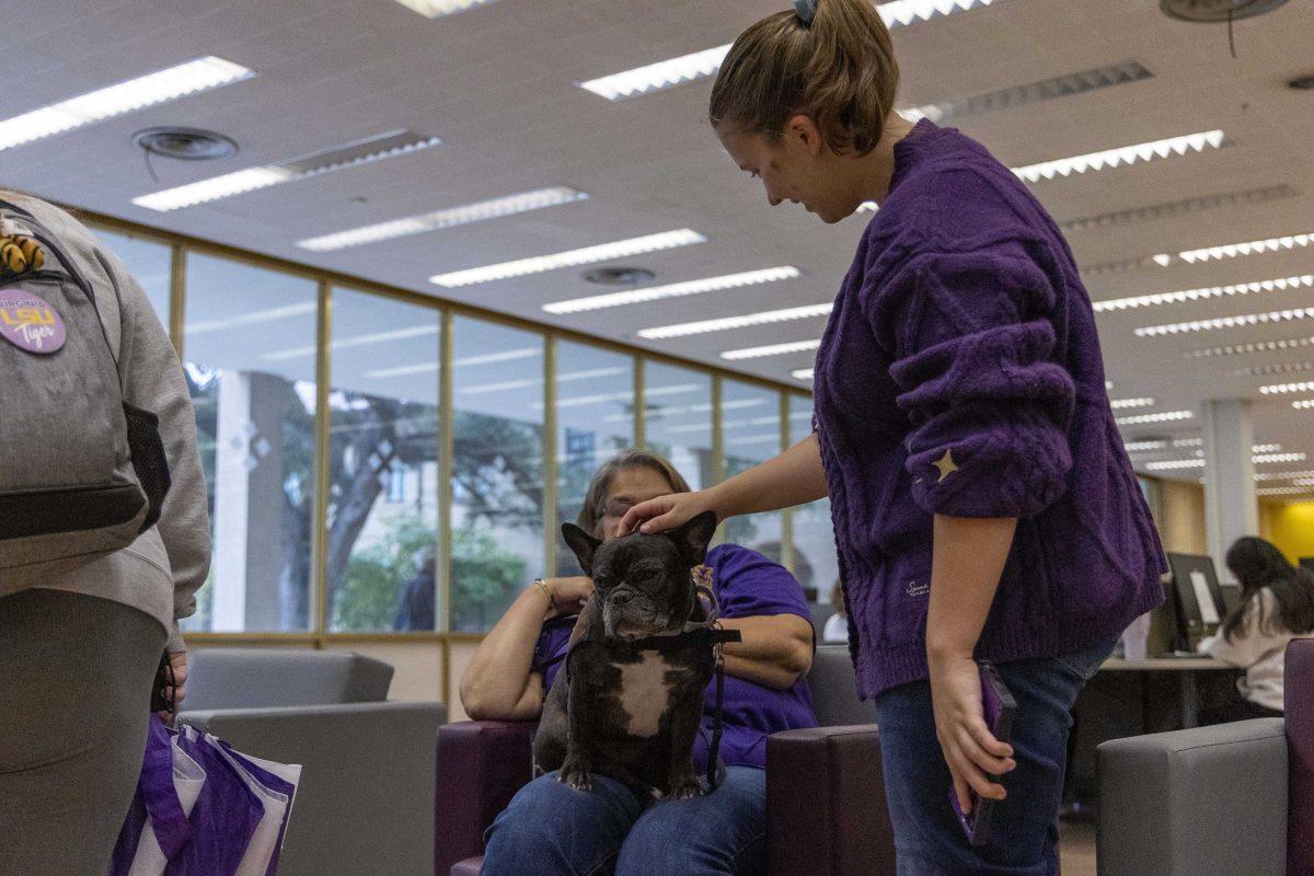 A student pets Jeaux the French bulldog Wednesday, Oct. 11, 2023, in the LSU Library.