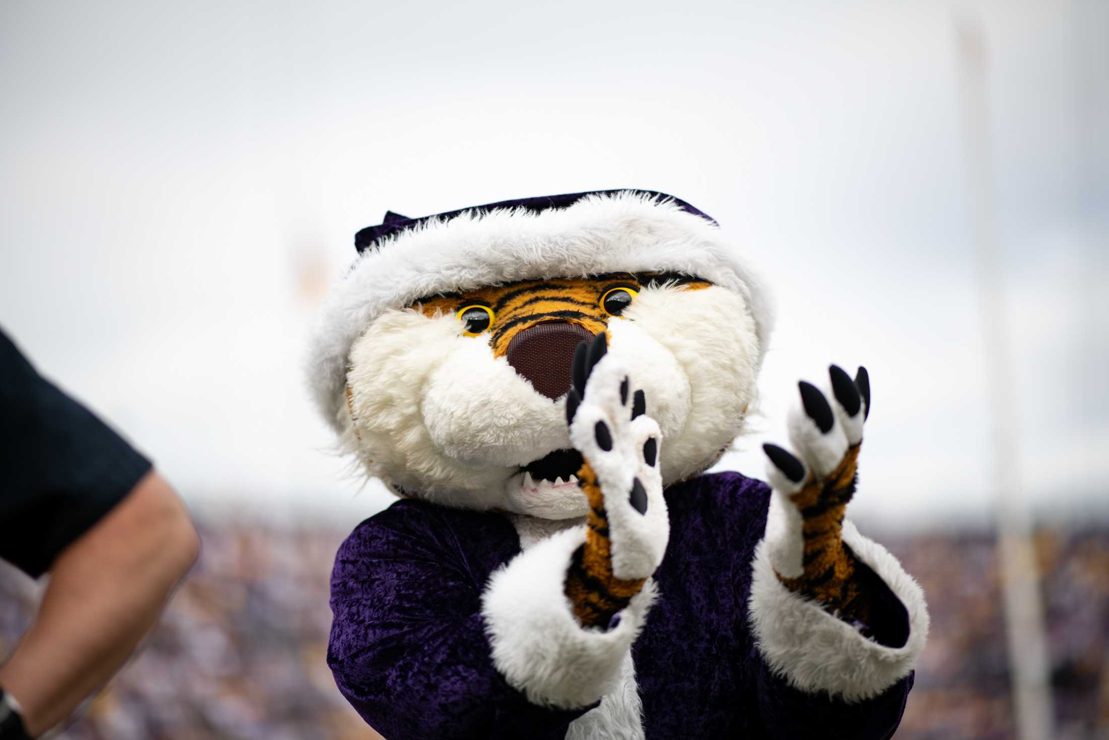 PHOTOS: LSU football beats Texas A&M 42-30 in Tiger Stadium