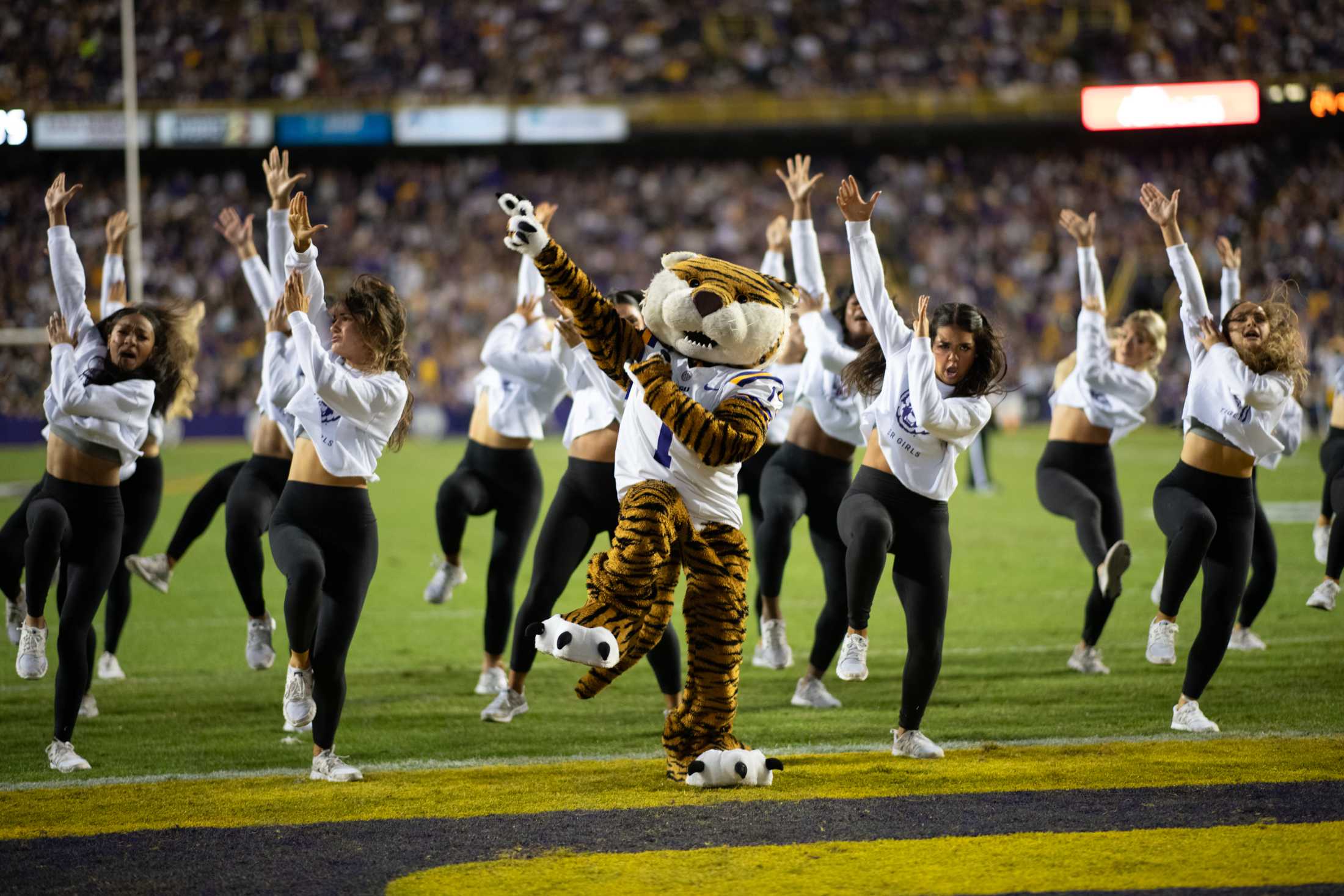 PHOTOS: LSU football defeats Florida 52-35 in Tiger Stadium