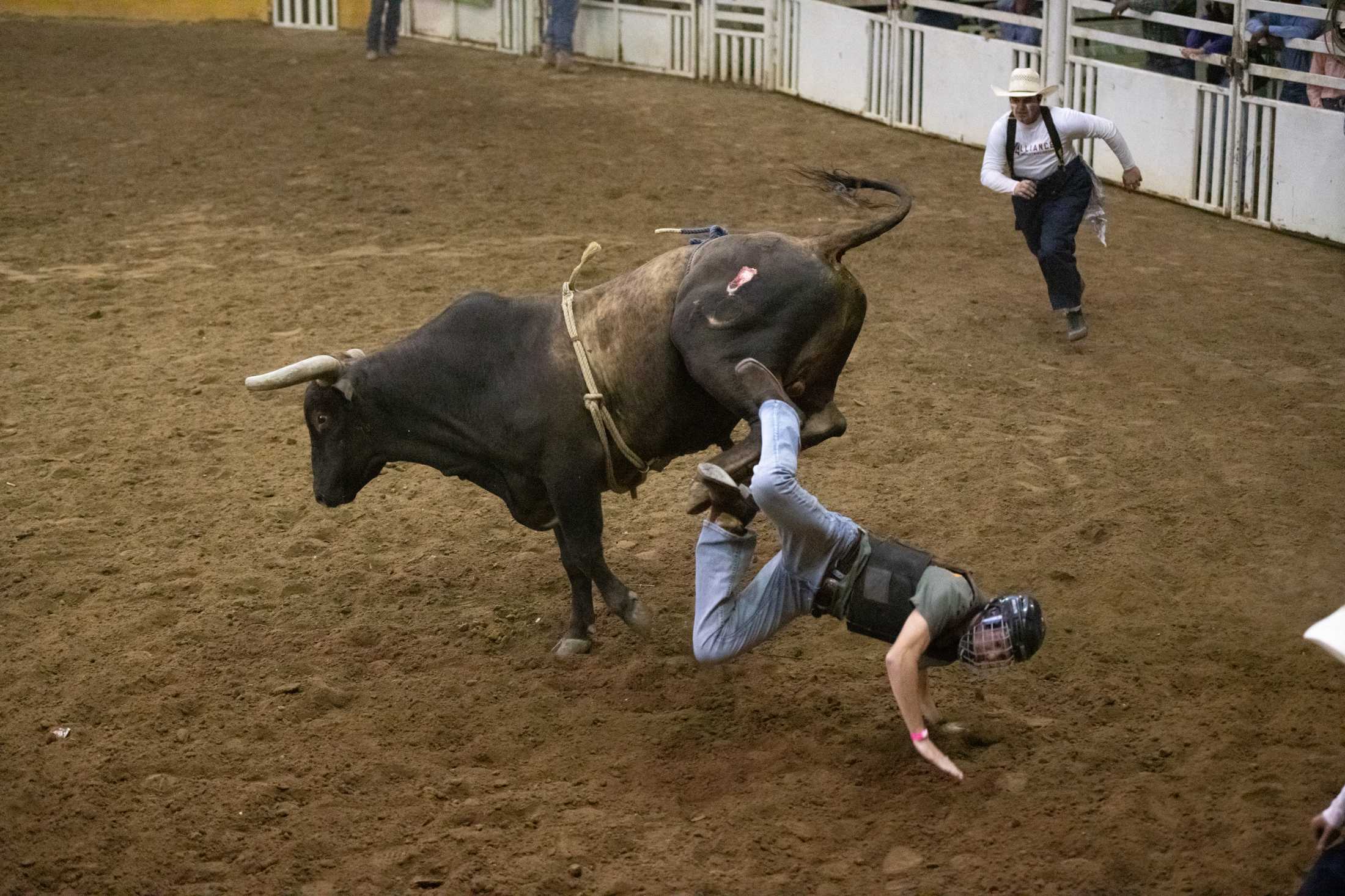 PHOTOS: The 85th annual Block and Bridle rodeo held at the LSU Agricultural Coliseum