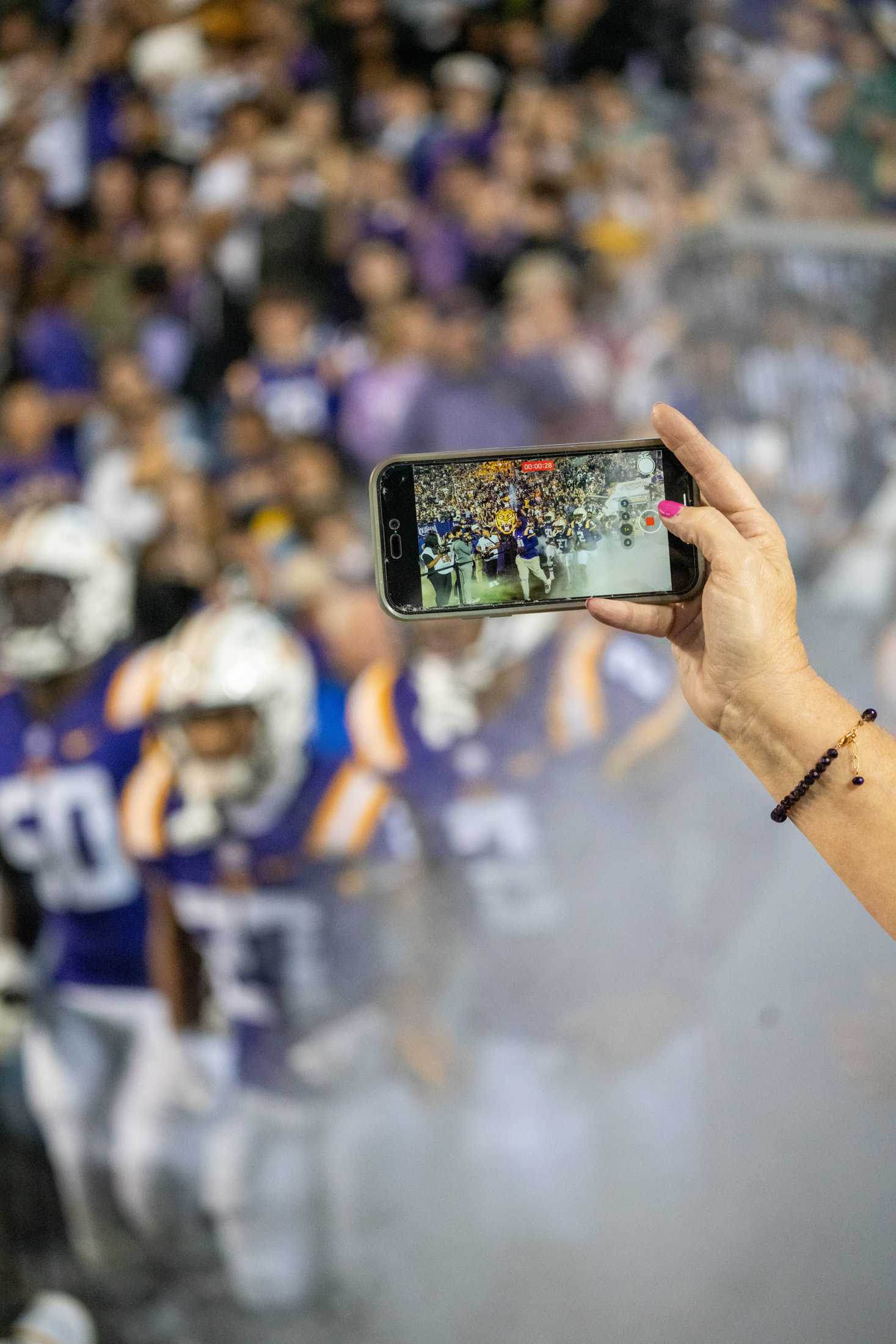 PHOTOS: LSU football defeats Georgia State 56-14 in Tiger Stadium