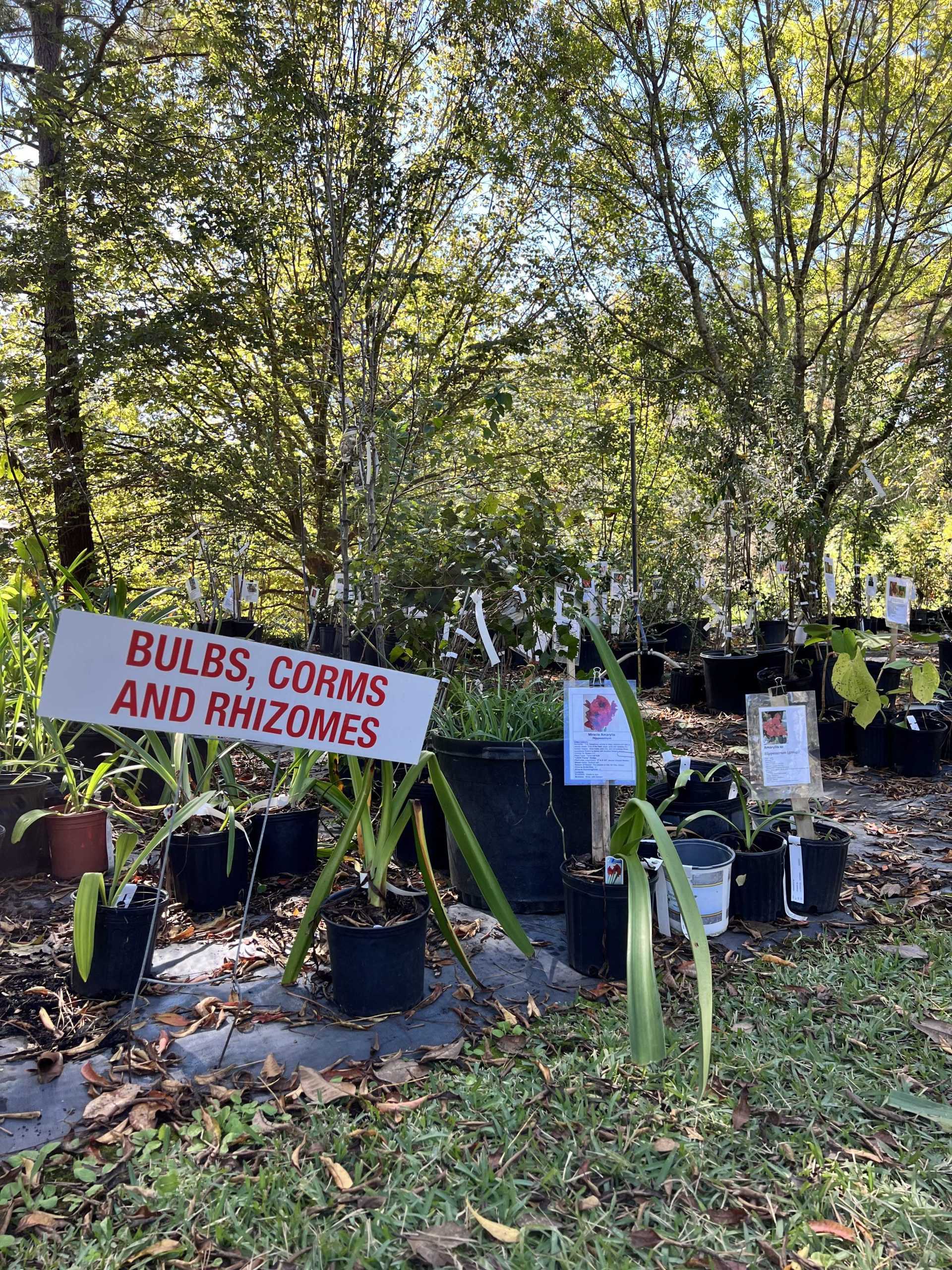 PLANTFEST!, a plant sale event of over 3,000 plants, blossoms for 40th annual celebration