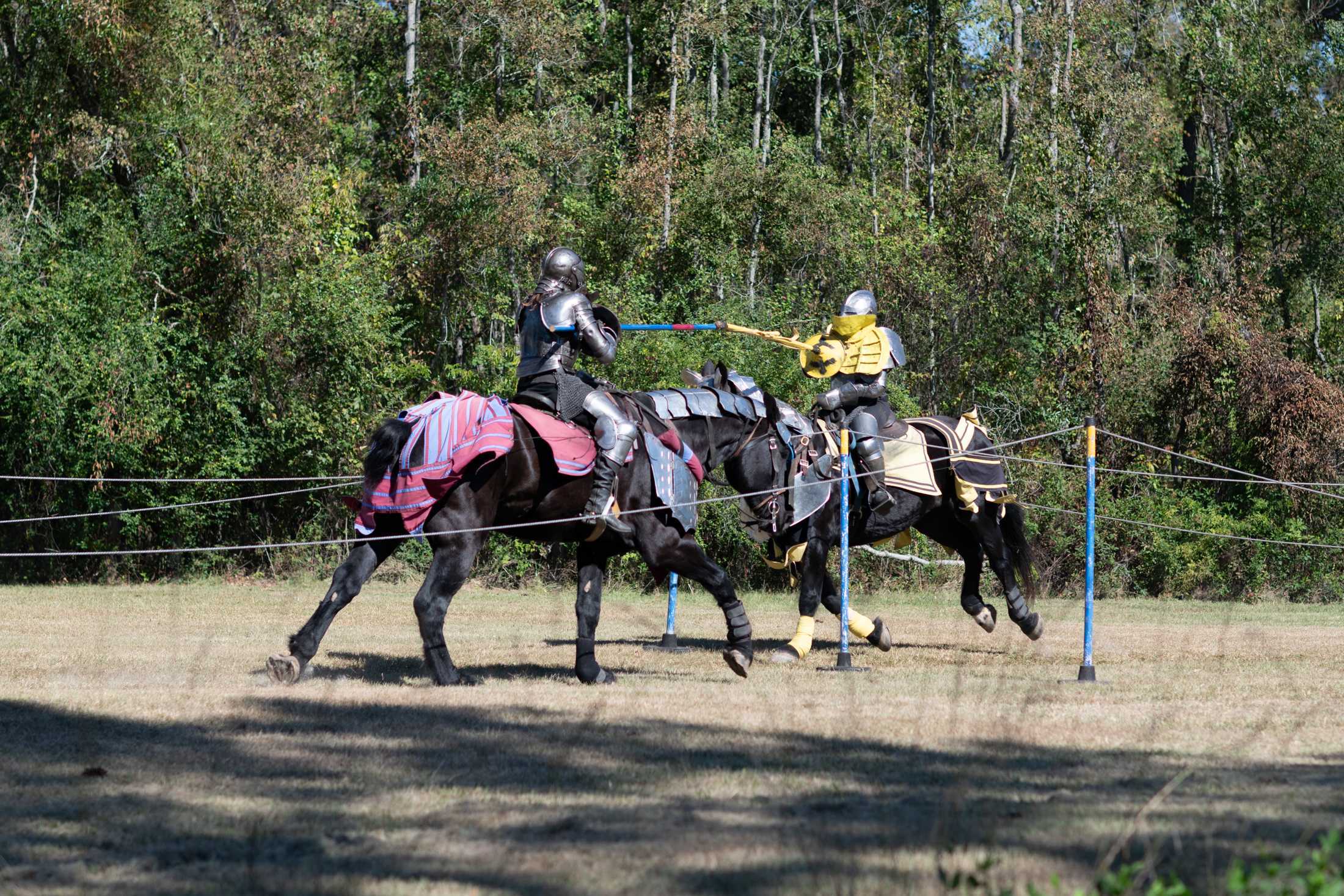 PHOTOS: From singing to sword swallowing, the Louisiana Renaissance Festival takes place in Hammond