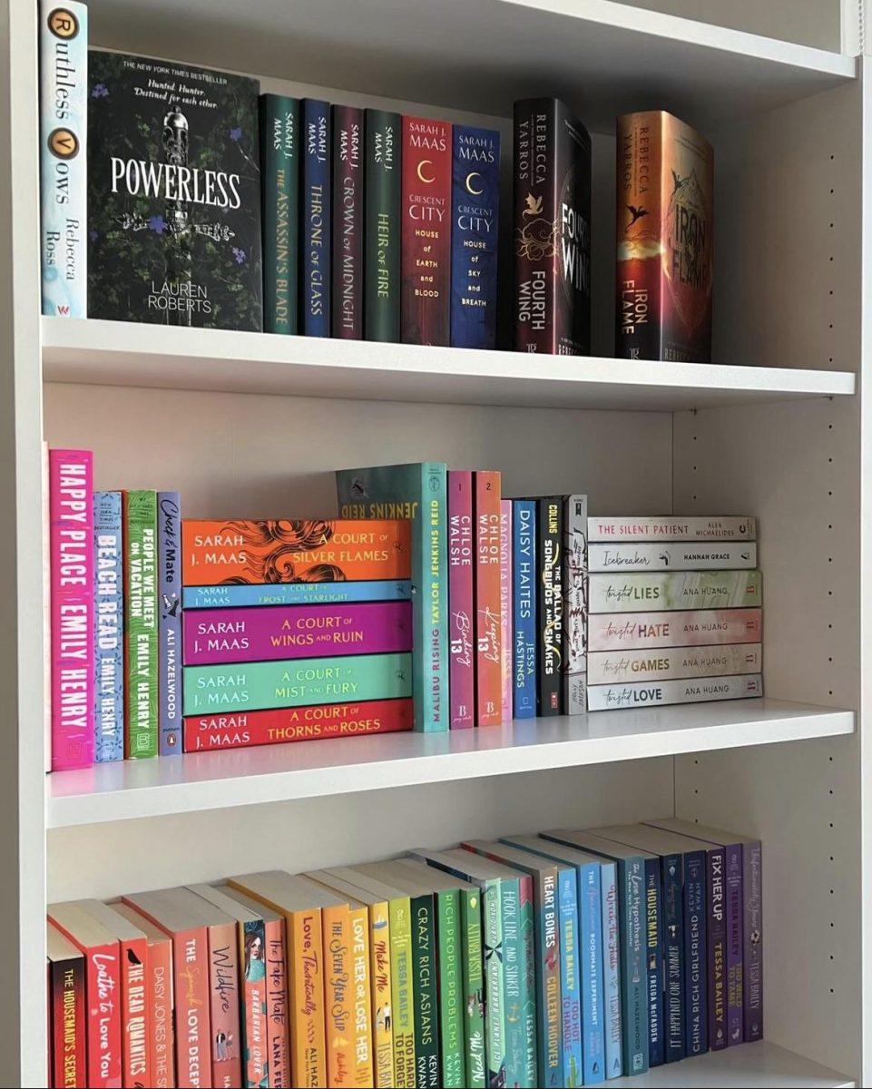 Mclean's bookshelf, organized by color, author and series.&#160;