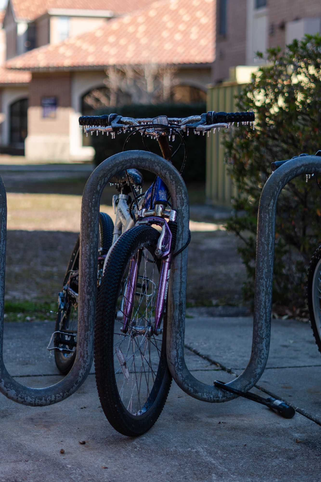 PHOTOS: Freezing temperatures bring an icy morning to Baton Rouge